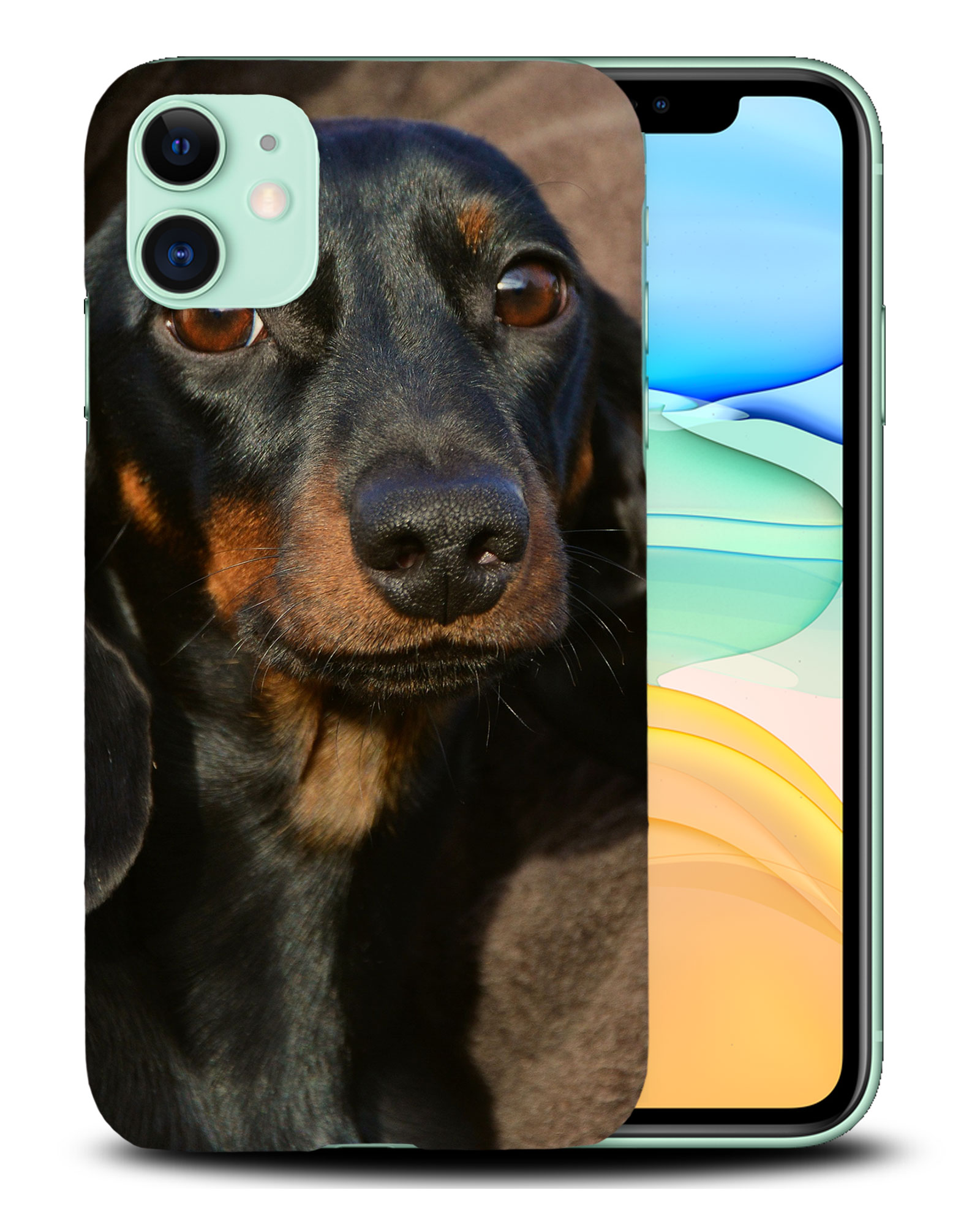 CASE COVER FOR APPLE IPHONE|DACHSHUND DOG 5 - Picture 24 of 44