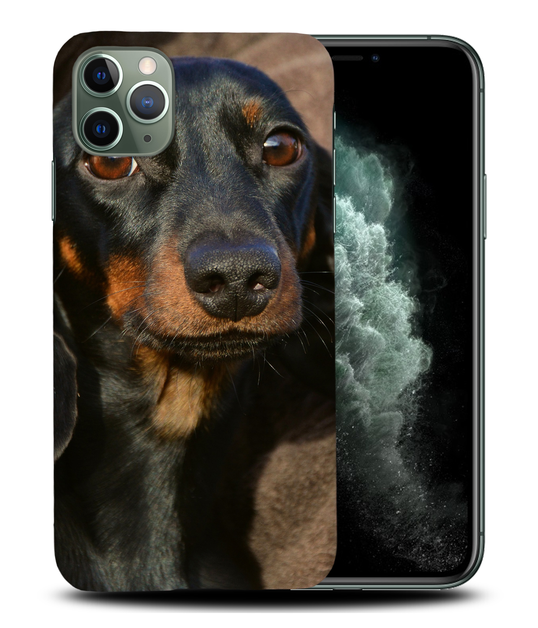 CASE COVER FOR APPLE IPHONE|DACHSHUND DOG 5 - Picture 23 of 44