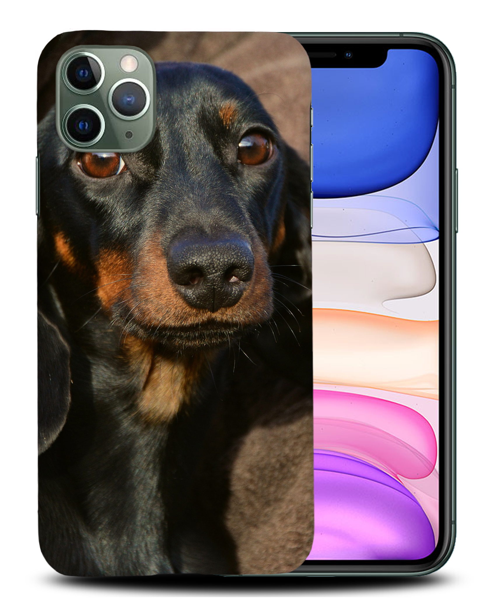CASE COVER FOR APPLE IPHONE|DACHSHUND DOG 5 - Picture 22 of 44