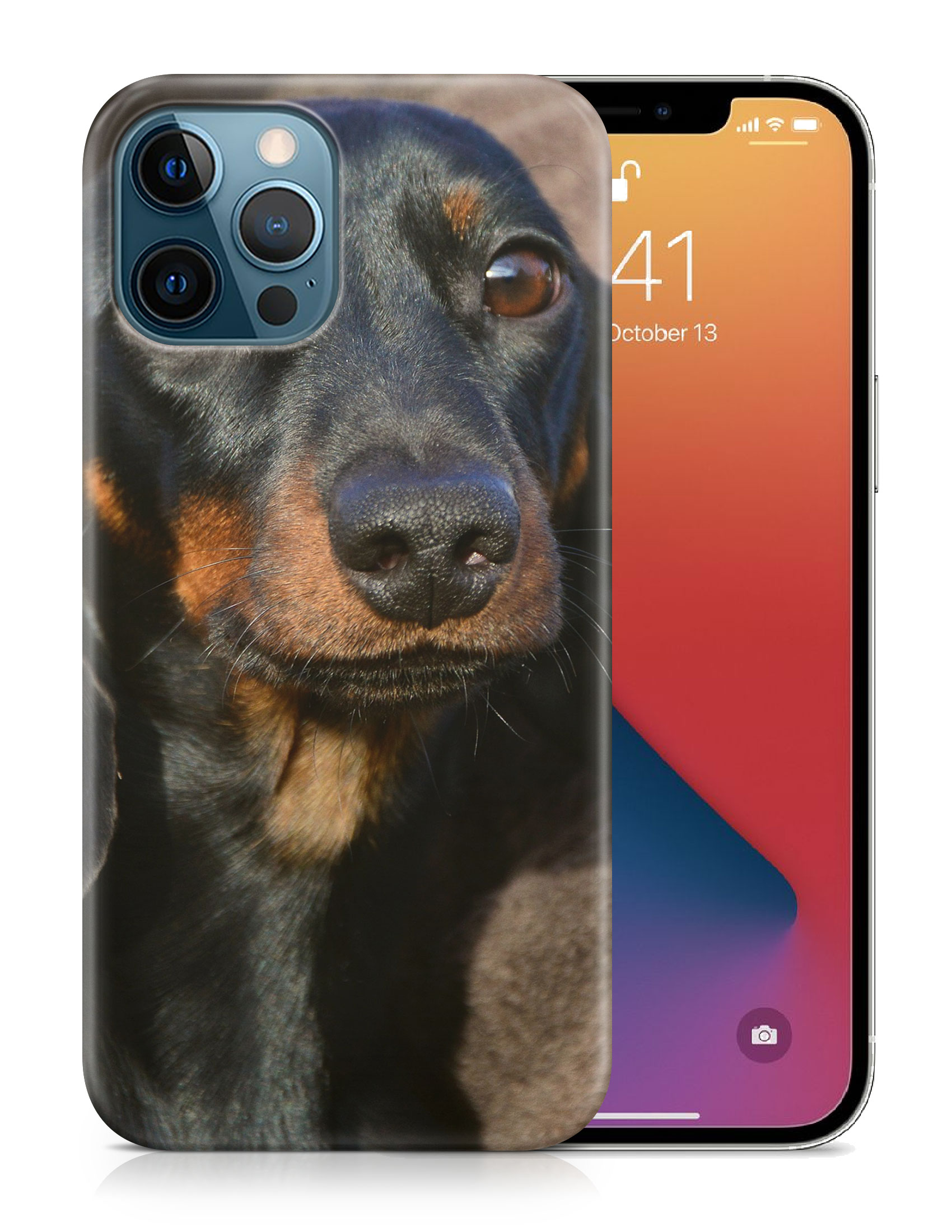 CASE COVER FOR APPLE IPHONE|DACHSHUND DOG 5 - Picture 19 of 44