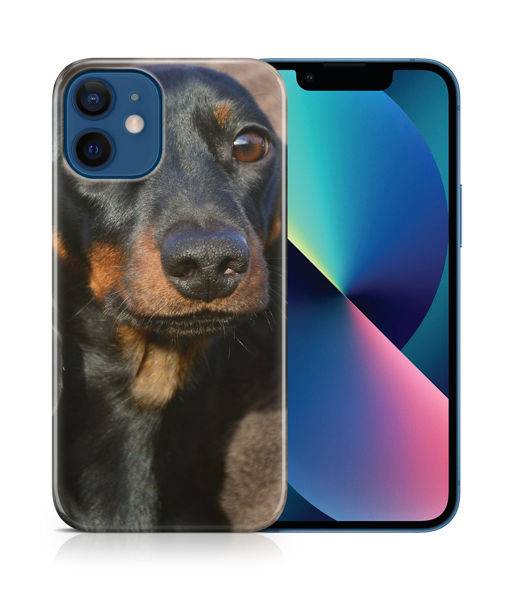 CASE COVER FOR APPLE IPHONE|DACHSHUND DOG 5 - Picture 17 of 44