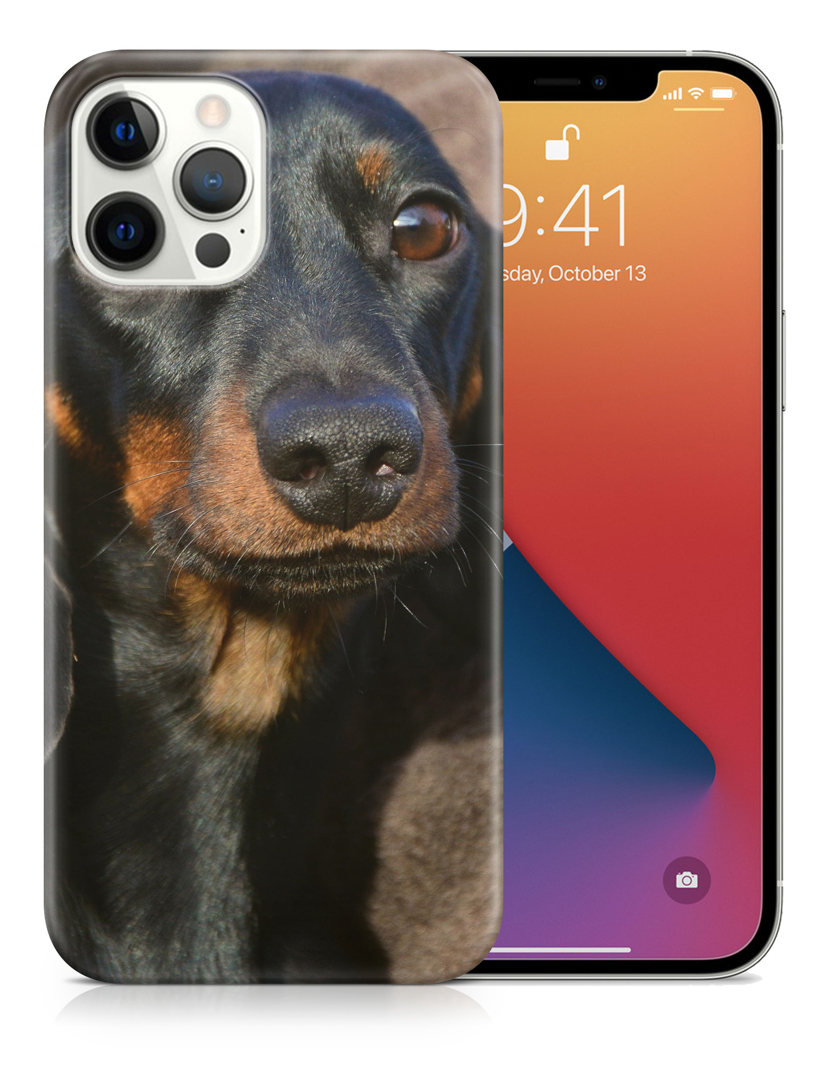CASE COVER FOR APPLE IPHONE|DACHSHUND DOG 5 - Picture 18 of 44