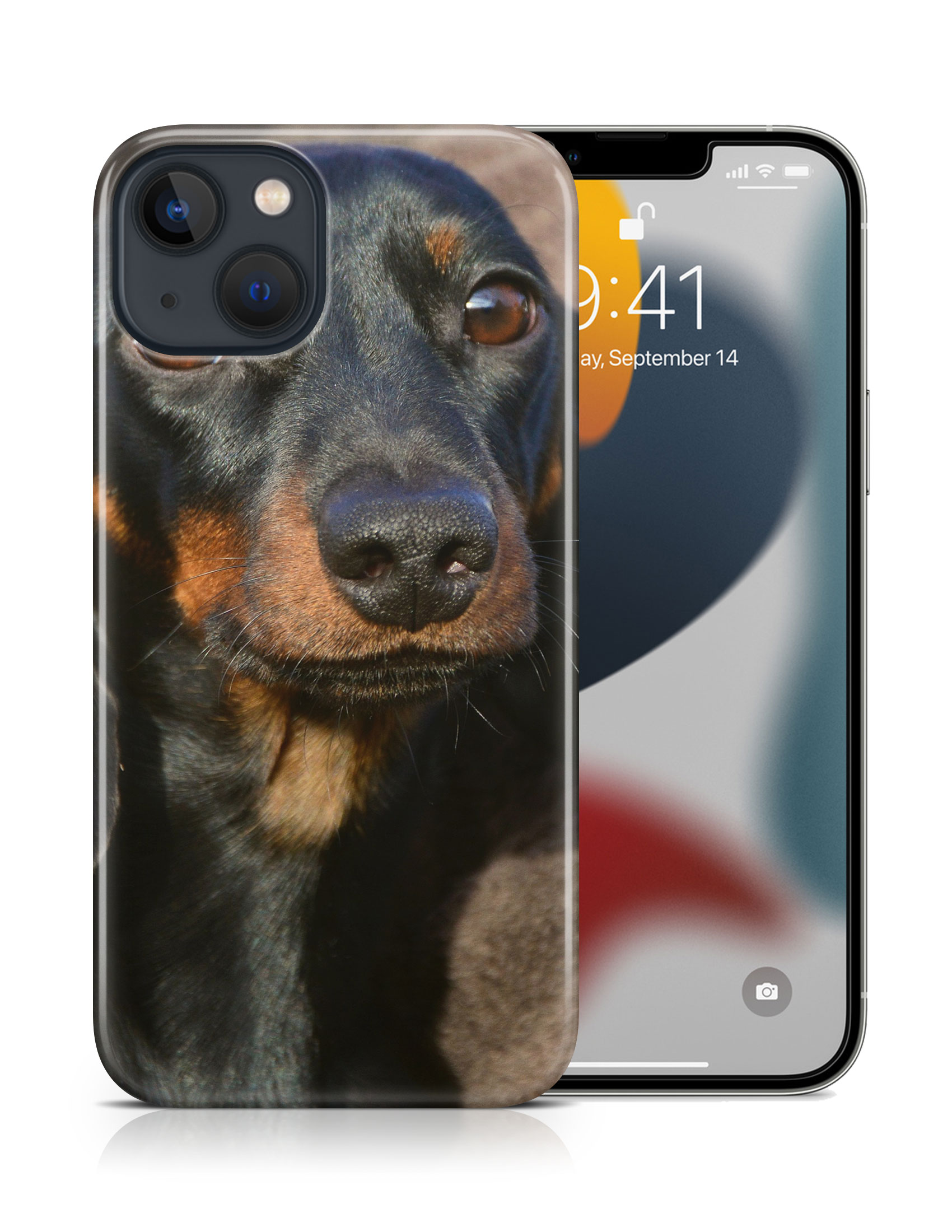 CASE COVER FOR APPLE IPHONE|DACHSHUND DOG 5 - Picture 16 of 44