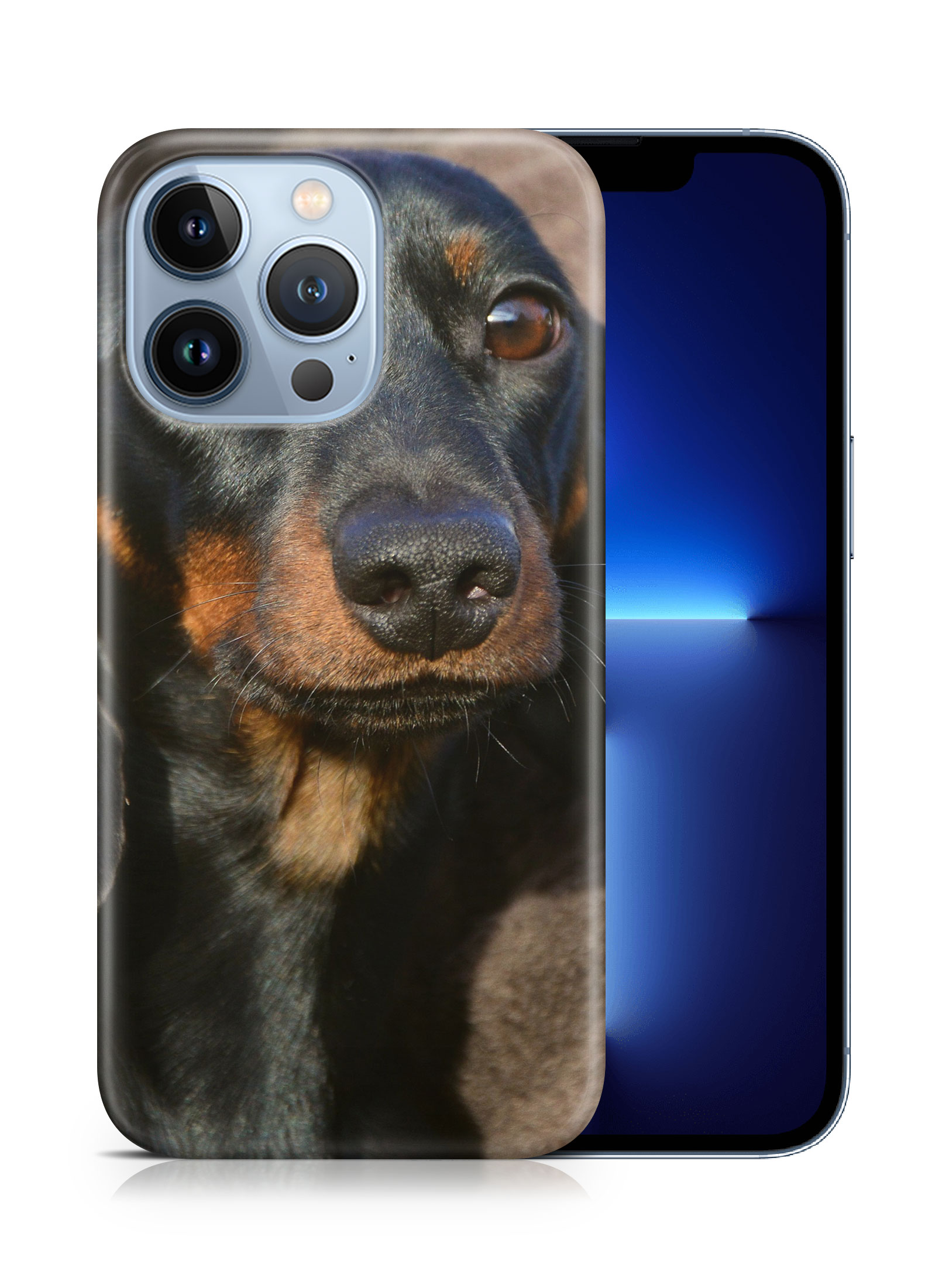 CASE COVER FOR APPLE IPHONE|DACHSHUND DOG 5 - Picture 15 of 44