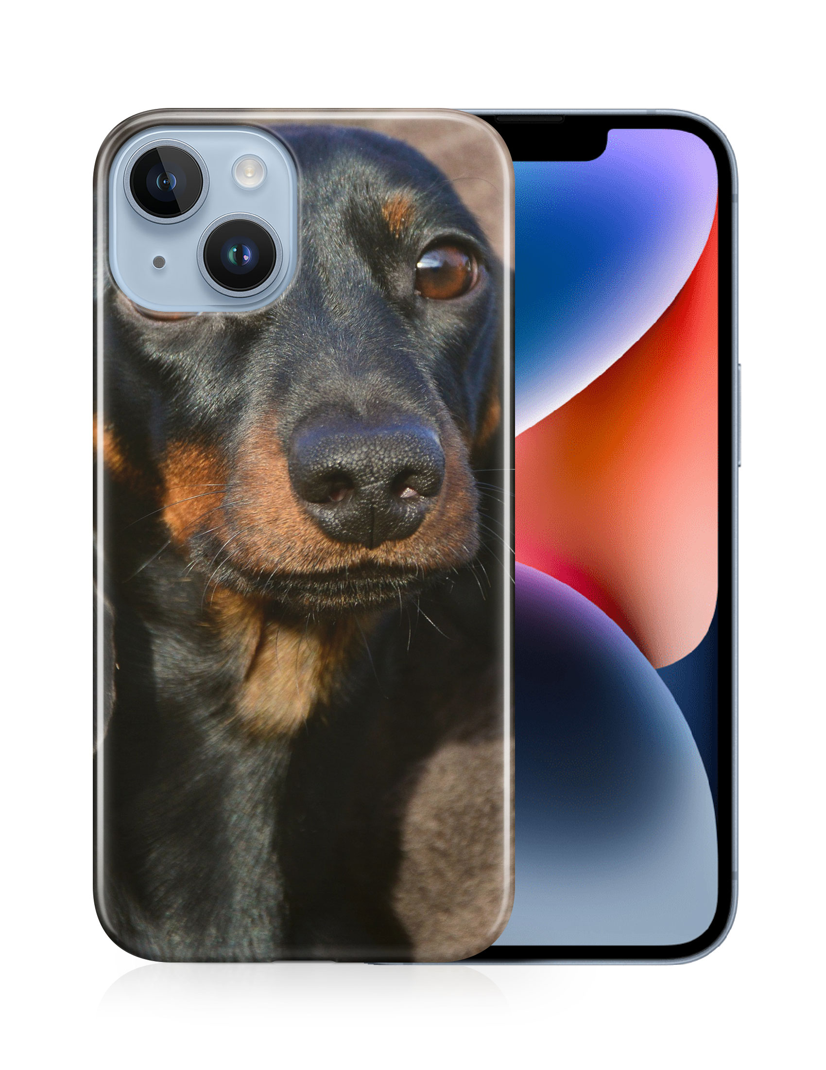 CASE COVER FOR APPLE IPHONE|DACHSHUND DOG 5 - Picture 13 of 44
