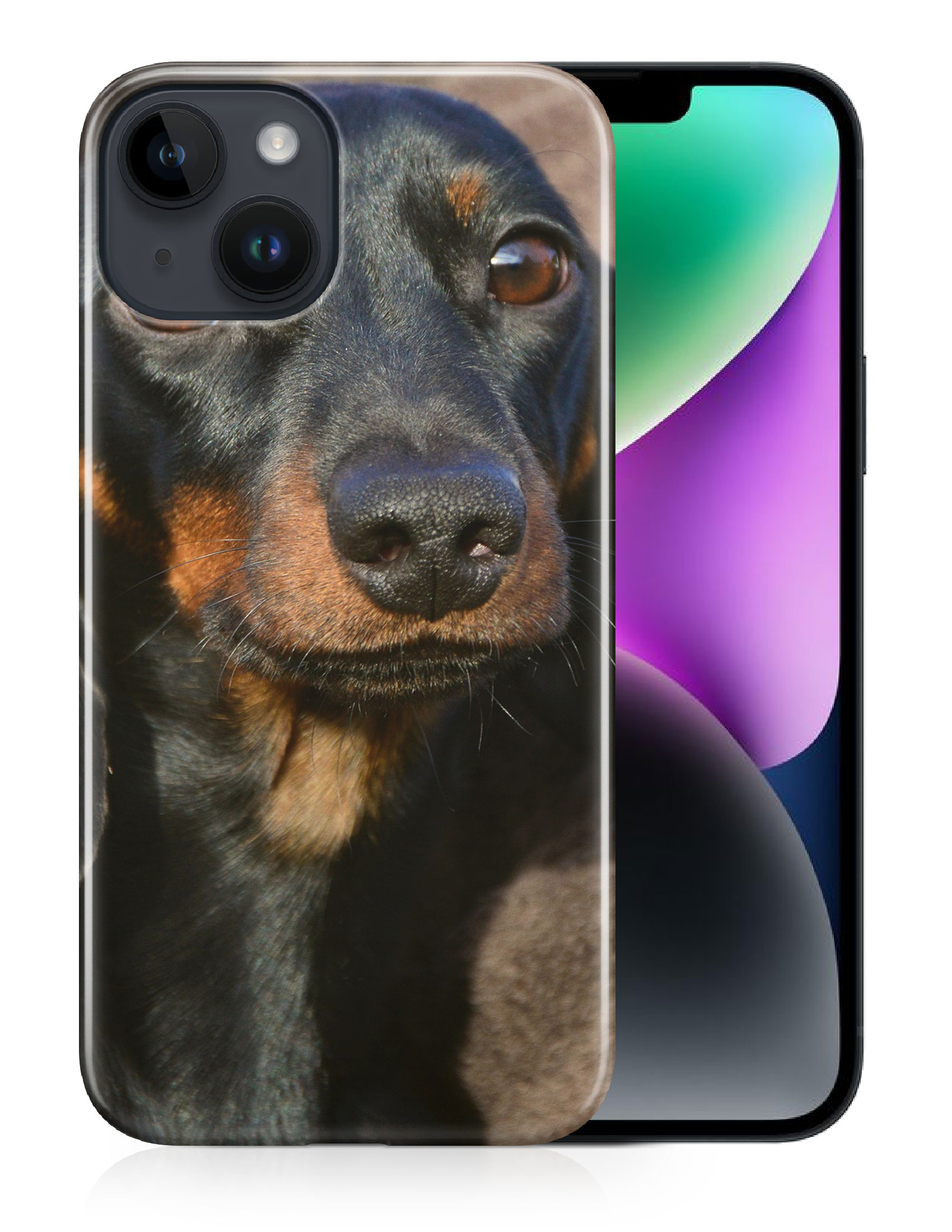 CASE COVER FOR APPLE IPHONE|DACHSHUND DOG 5 - Picture 12 of 44