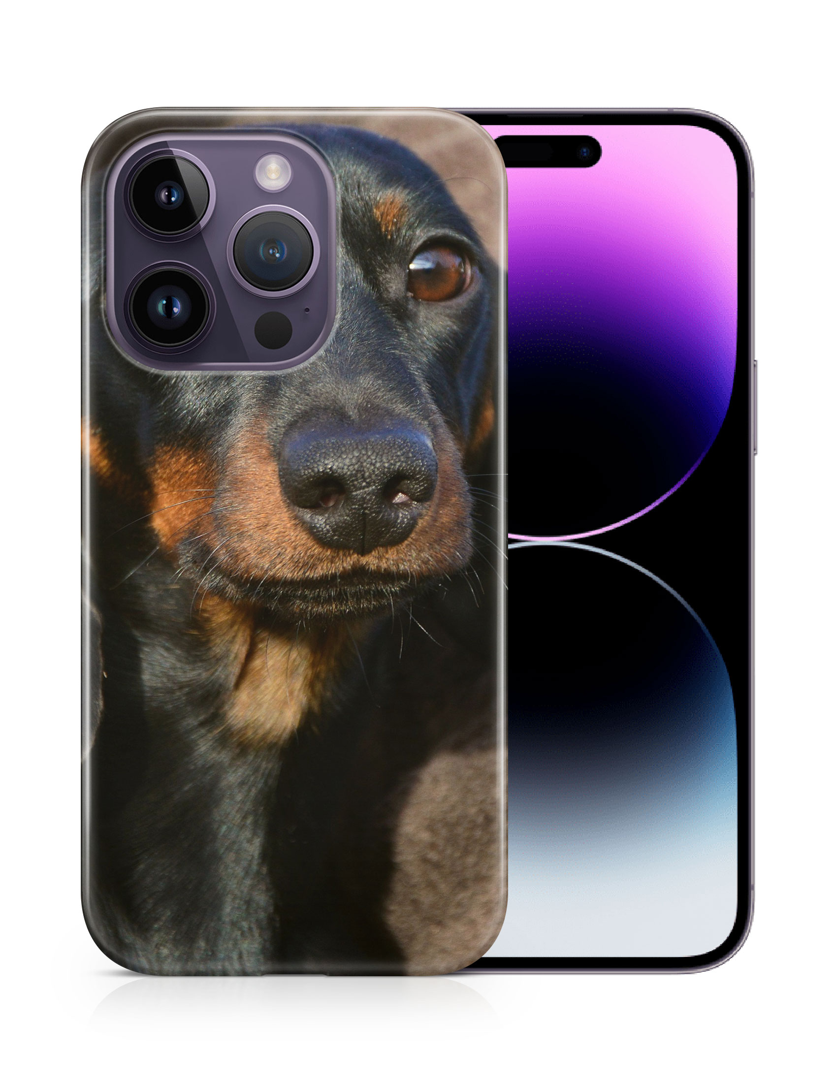 CASE COVER FOR APPLE IPHONE|DACHSHUND DOG 5 - Picture 11 of 44