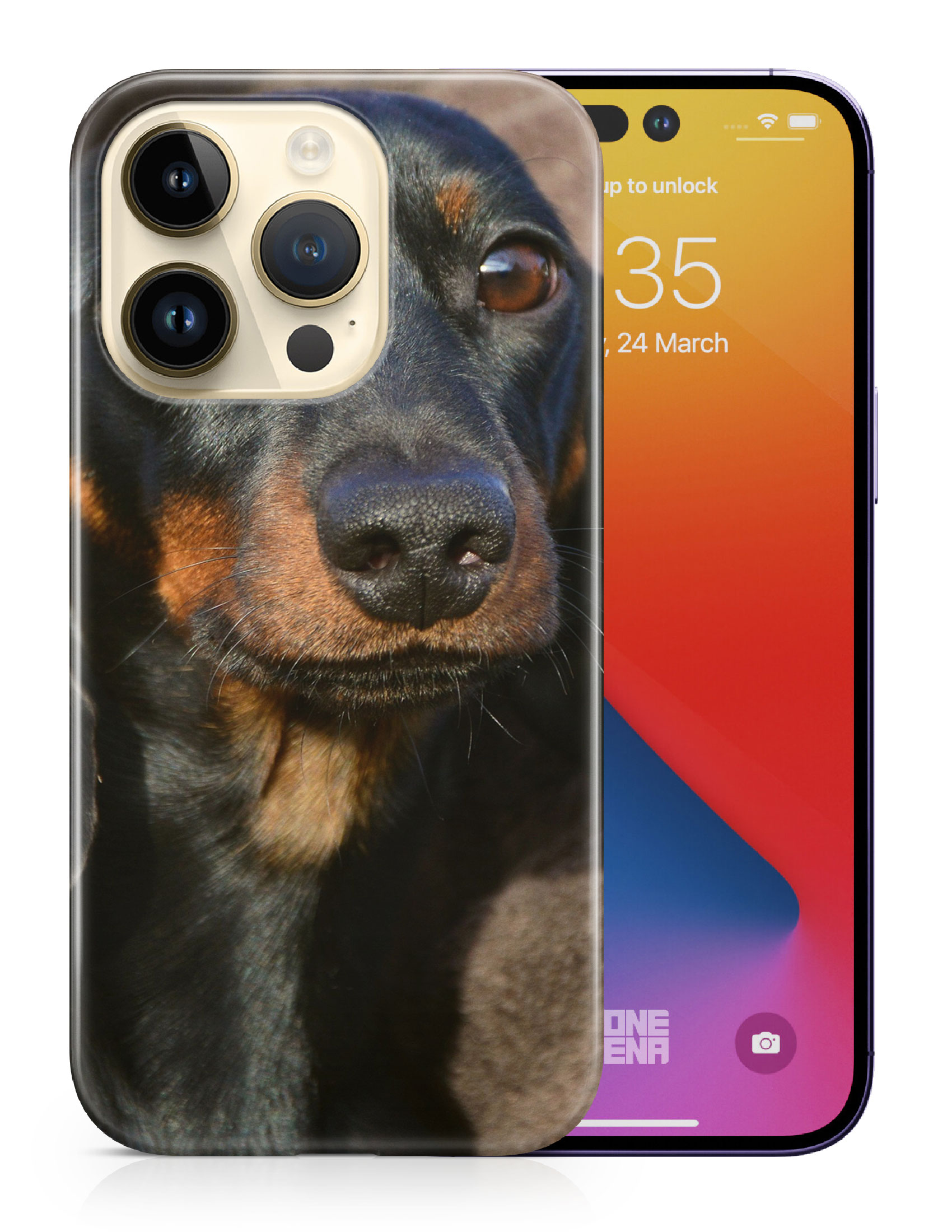 CASE COVER FOR APPLE IPHONE|DACHSHUND DOG 5 - Picture 10 of 44