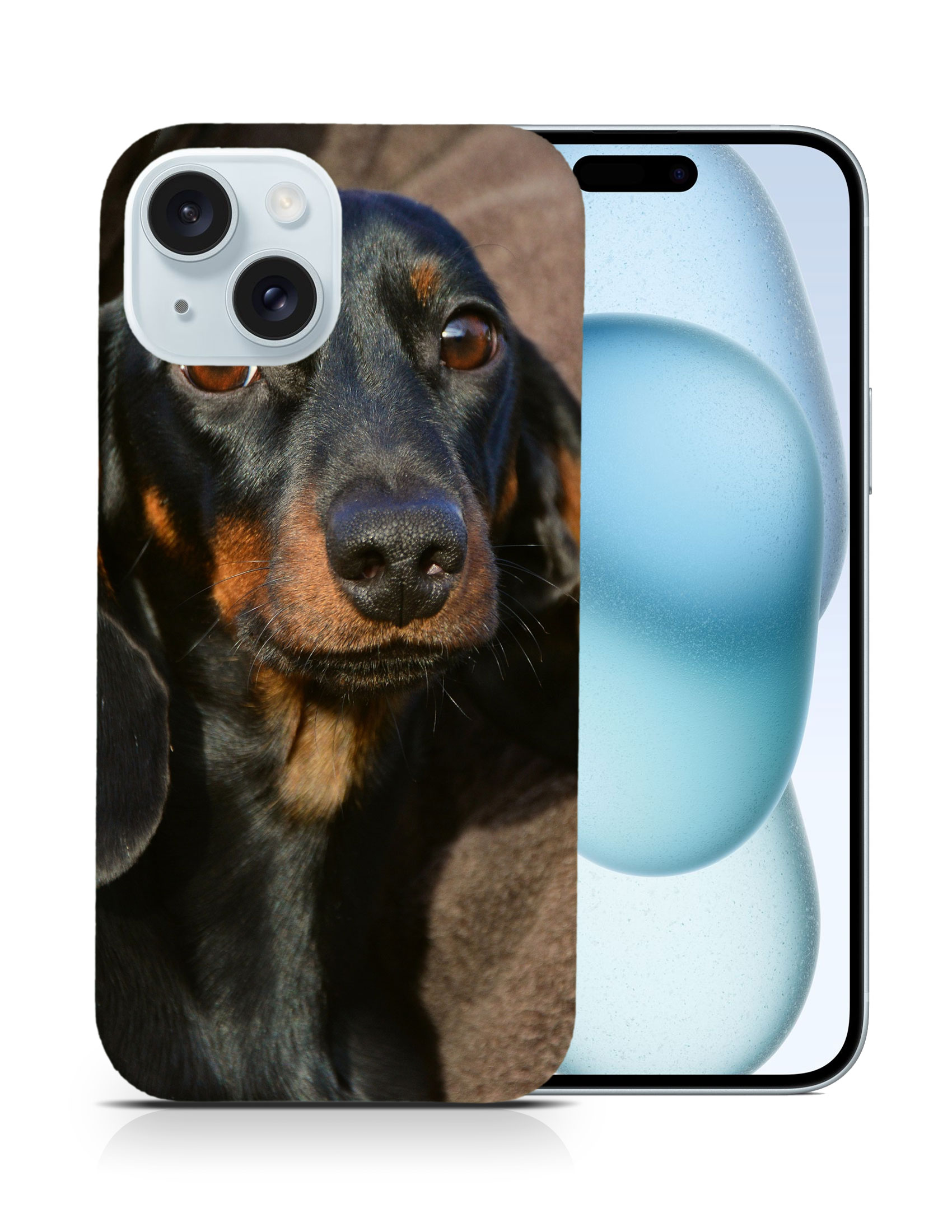 CASE COVER FOR APPLE IPHONE|DACHSHUND DOG 5 - Picture 9 of 44