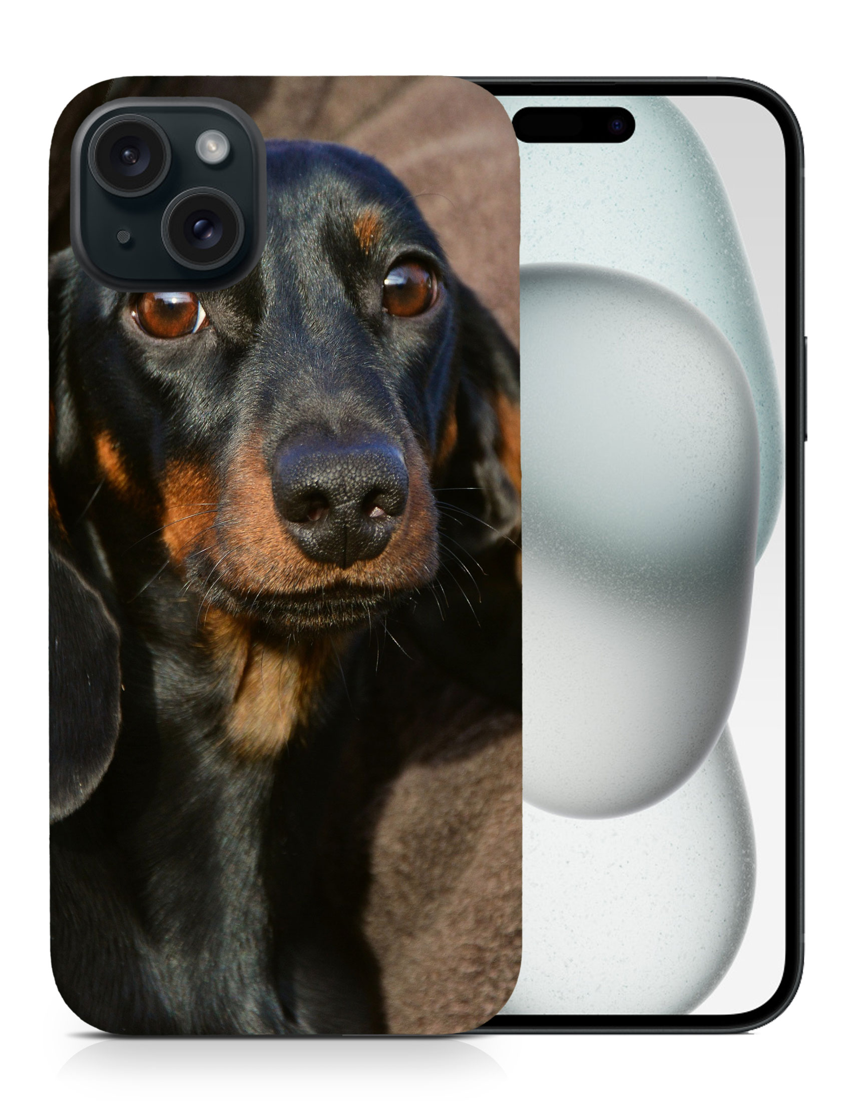 CASE COVER FOR APPLE IPHONE|DACHSHUND DOG 5 - Picture 8 of 44