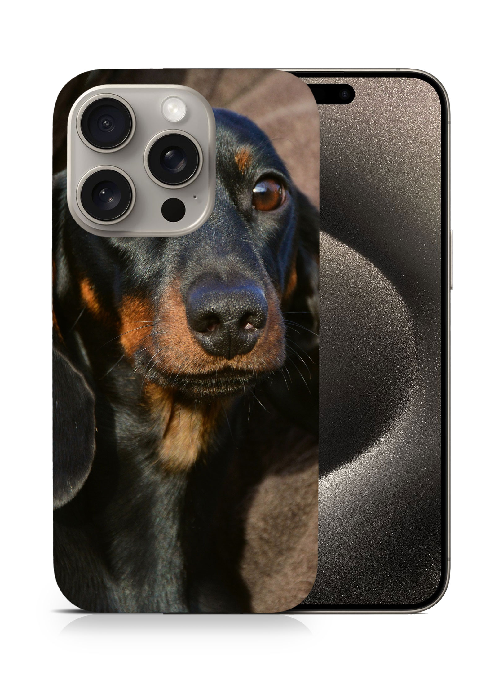 CASE COVER FOR APPLE IPHONE|DACHSHUND DOG 5 - Picture 7 of 44