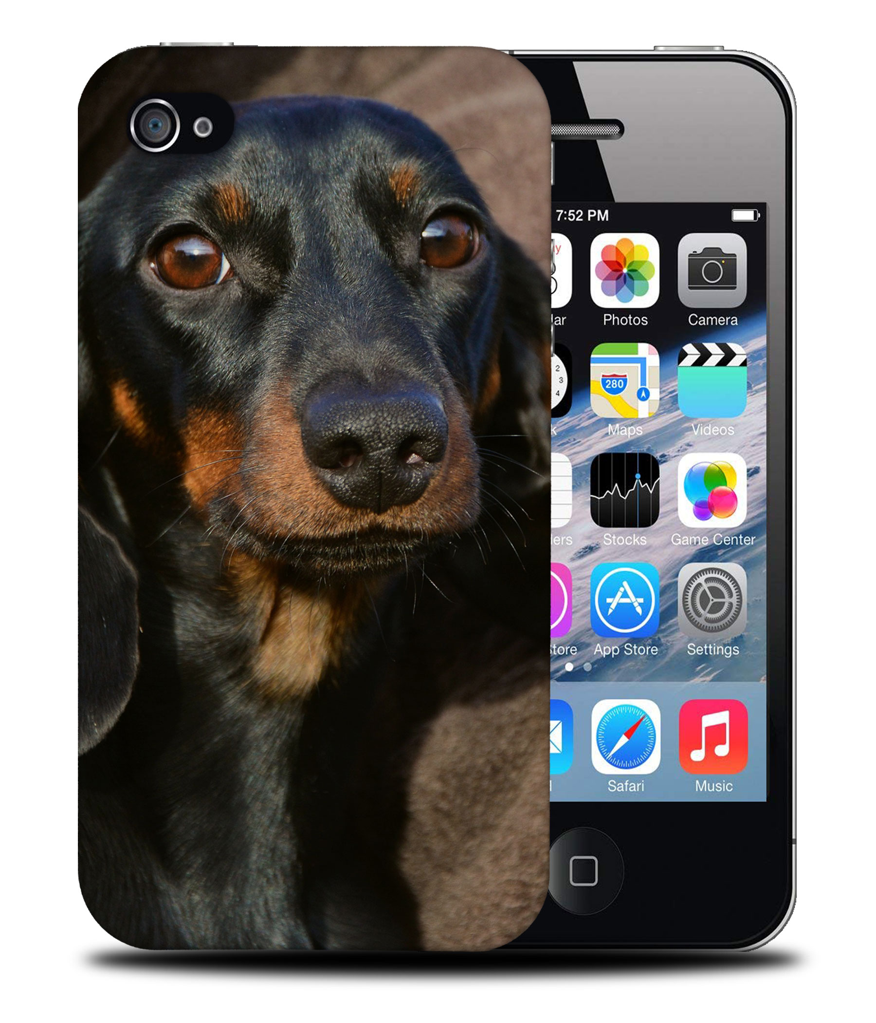 CASE COVER FOR APPLE IPHONE|DACHSHUND DOG 5 - Picture 40 of 44