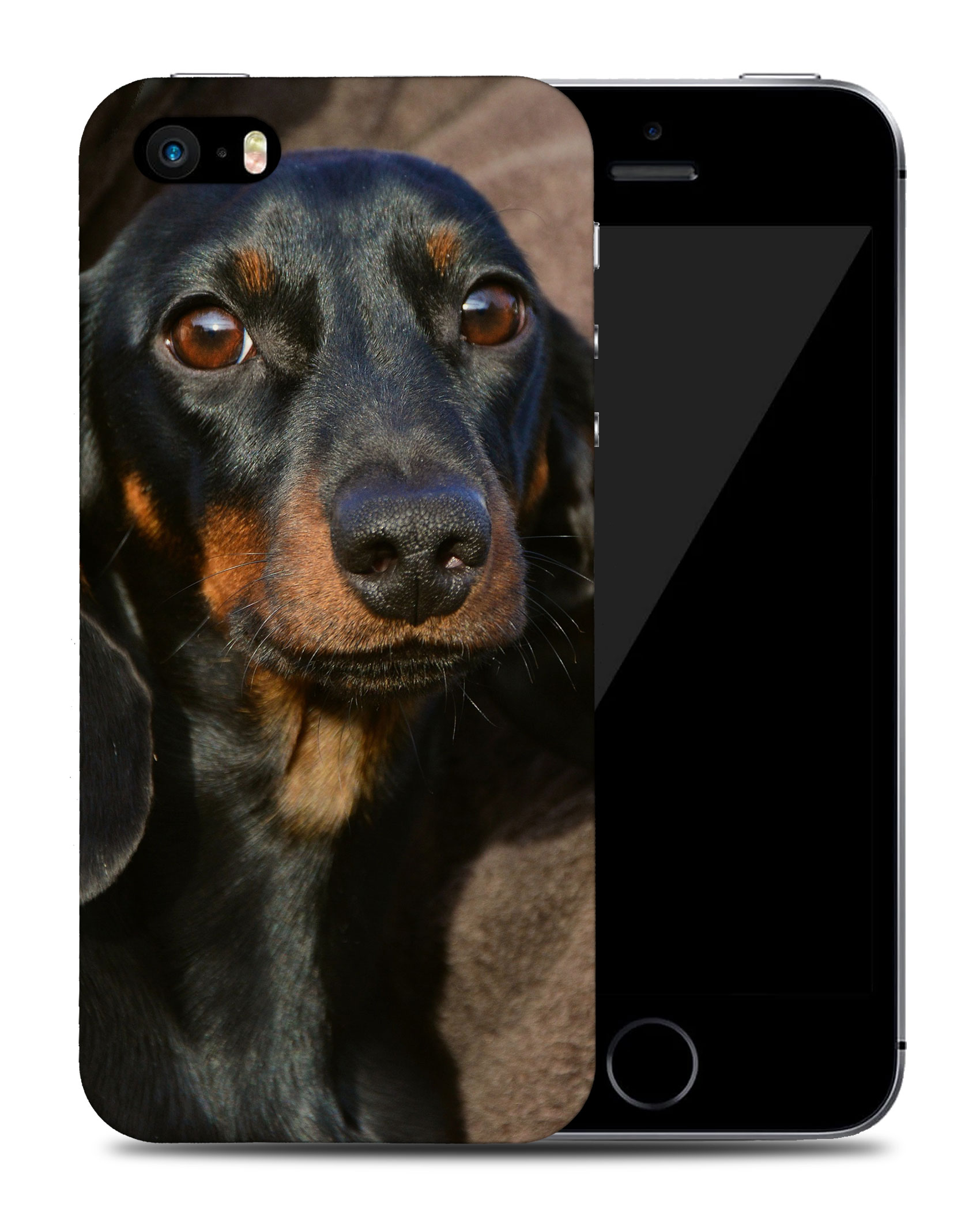 CASE COVER FOR APPLE IPHONE|DACHSHUND DOG 5 - Picture 38 of 44