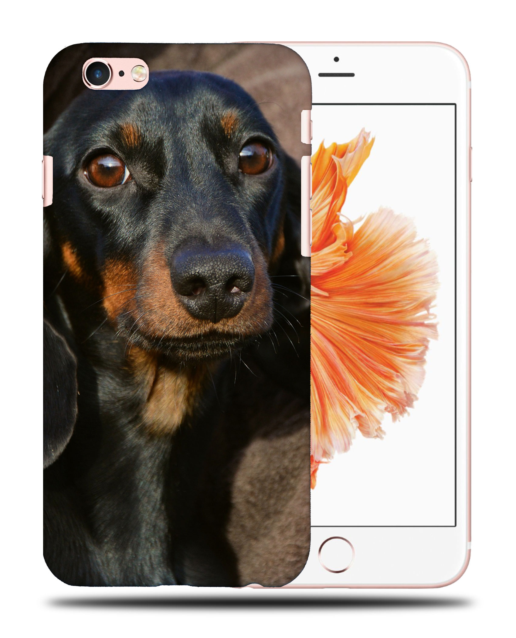 CASE COVER FOR APPLE IPHONE|DACHSHUND DOG 5 - Picture 35 of 44