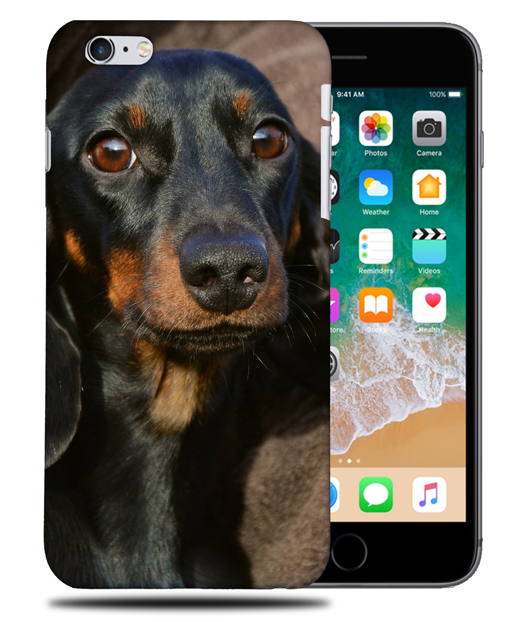CASE COVER FOR APPLE IPHONE|DACHSHUND DOG 5 - Picture 33 of 44