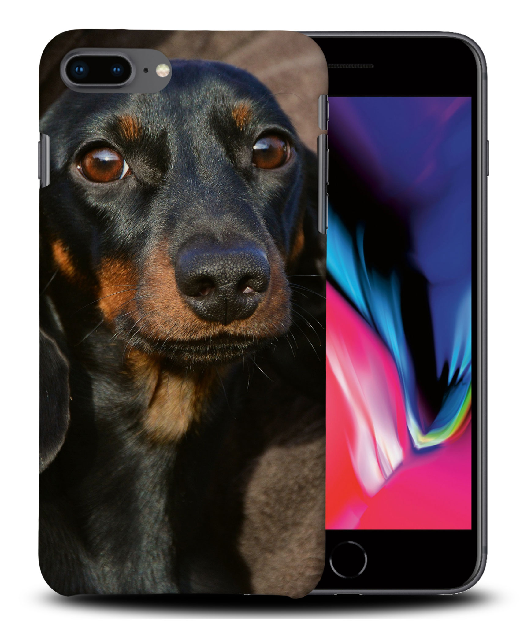 CASE COVER FOR APPLE IPHONE|DACHSHUND DOG 5 - Picture 29 of 44