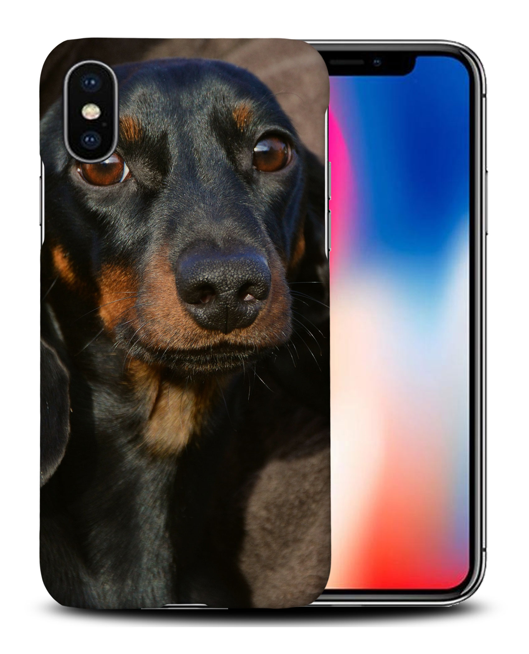 CASE COVER FOR APPLE IPHONE|DACHSHUND DOG 5 - Picture 26 of 44