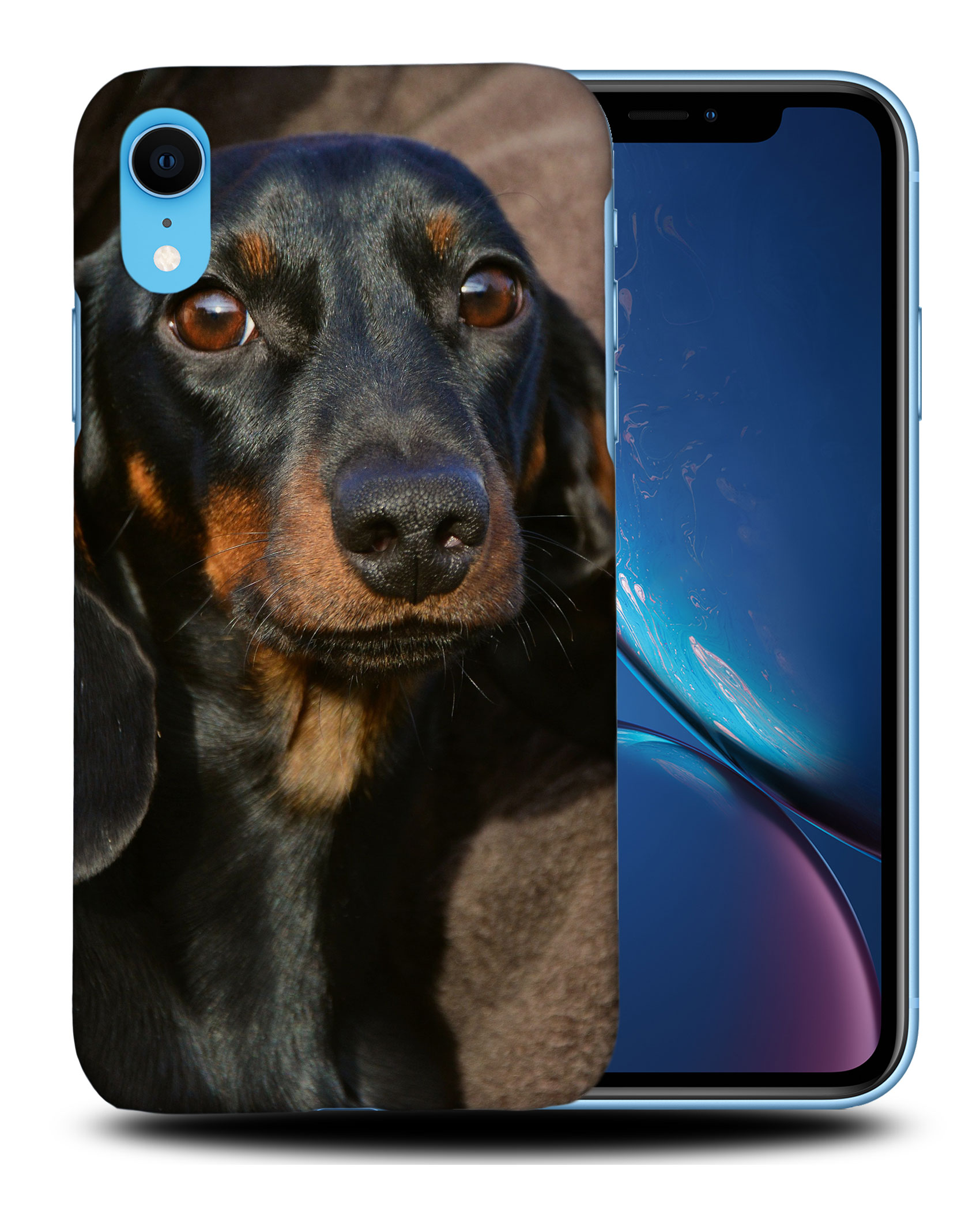 CASE COVER FOR APPLE IPHONE|DACHSHUND DOG 5 - Picture 27 of 44
