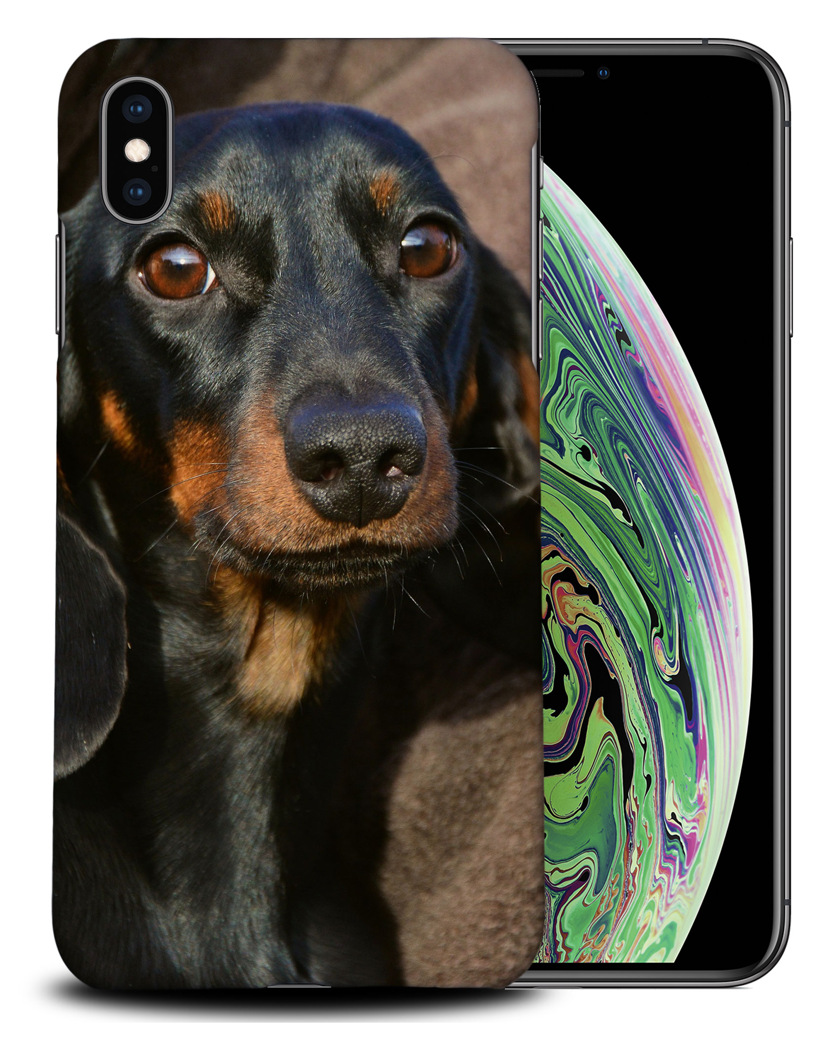 CASE COVER FOR APPLE IPHONE|DACHSHUND DOG 5 - Picture 25 of 44