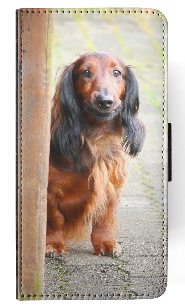 Bild 67 von 120
