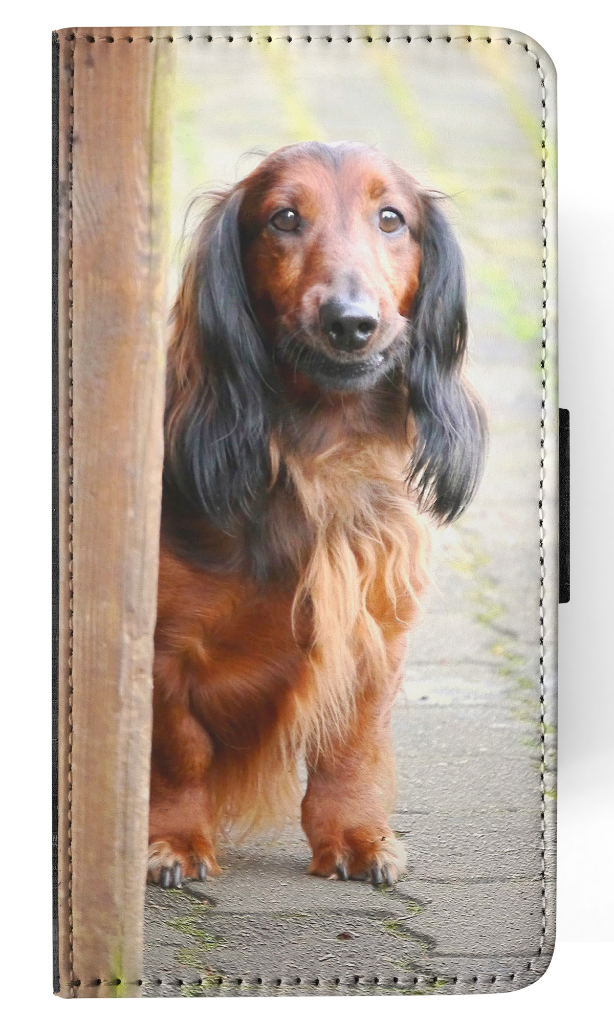 Bild 7 von 120