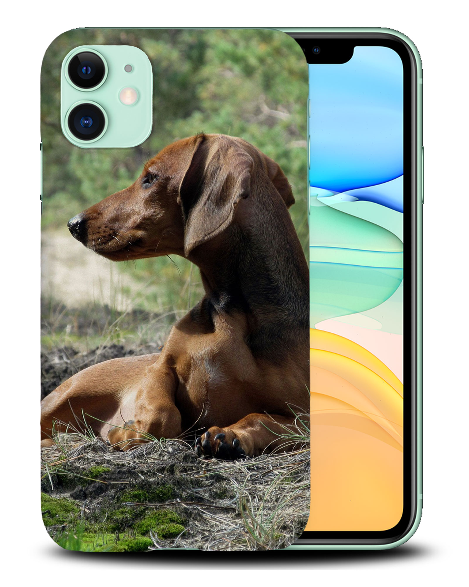 CASE COVER FOR APPLE IPHONE|DACHSHUND DOG 8 - Picture 24 of 44