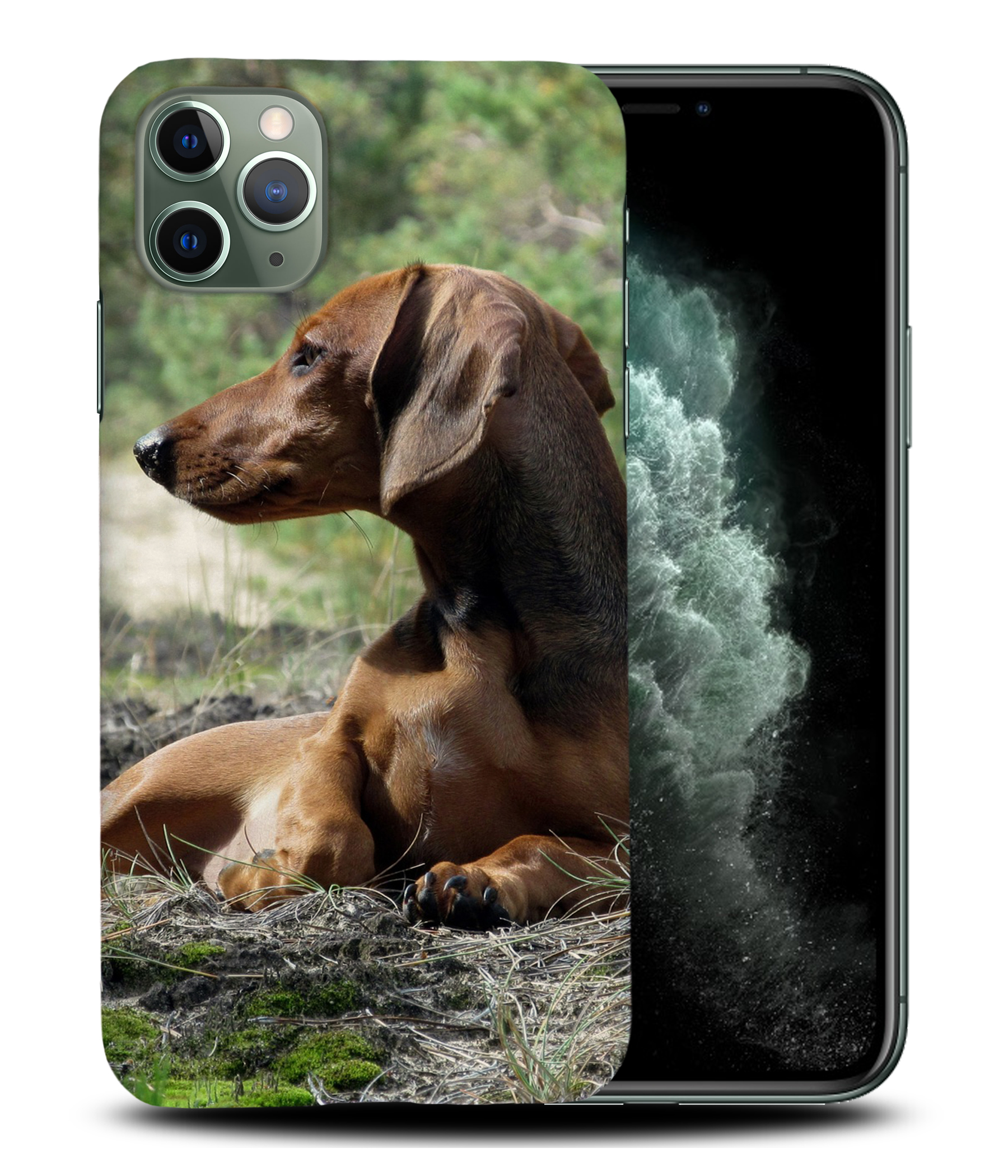 CASE COVER FOR APPLE IPHONE|DACHSHUND DOG 8 - Picture 23 of 44