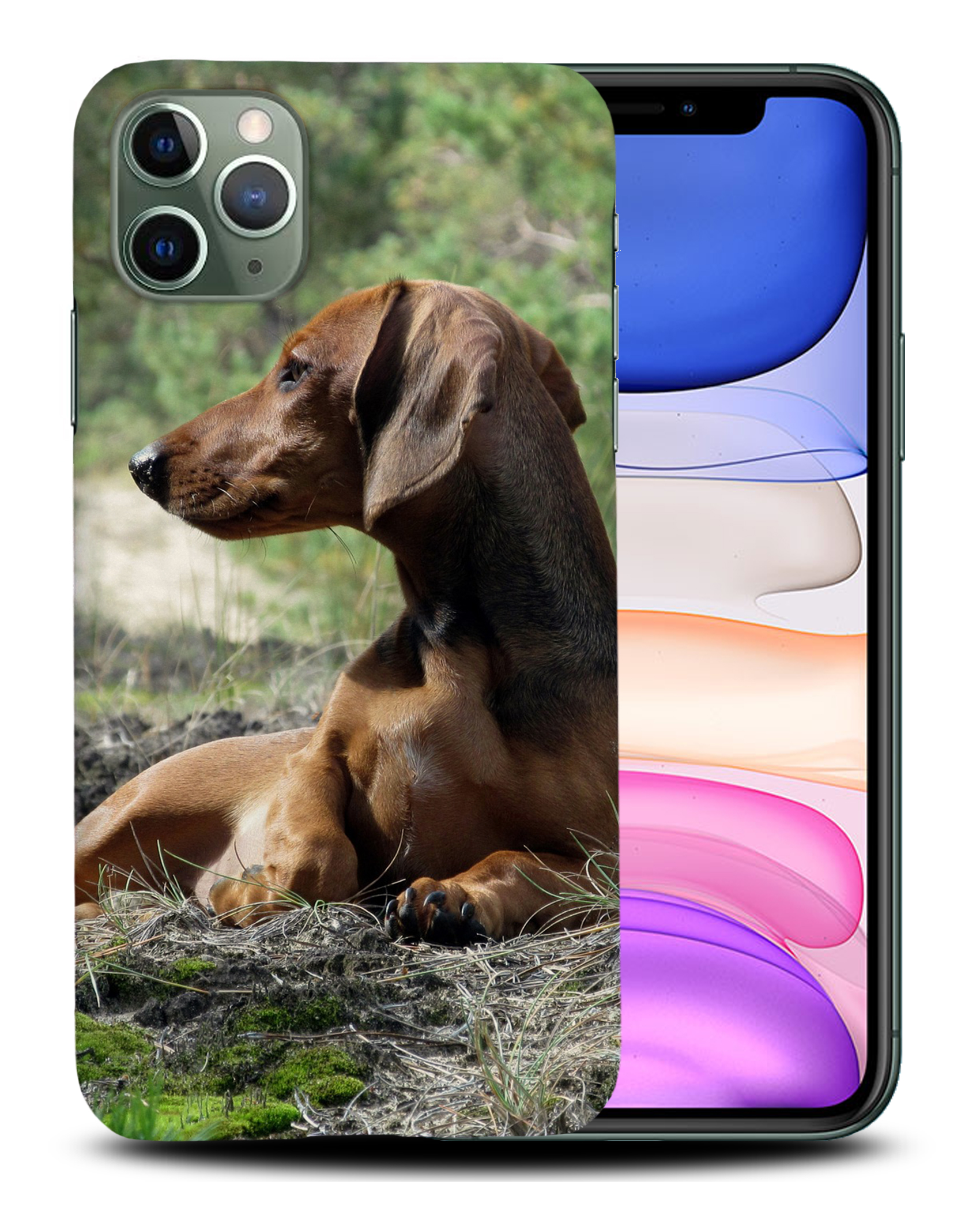 CASE COVER FOR APPLE IPHONE|DACHSHUND DOG 8 - Picture 22 of 44