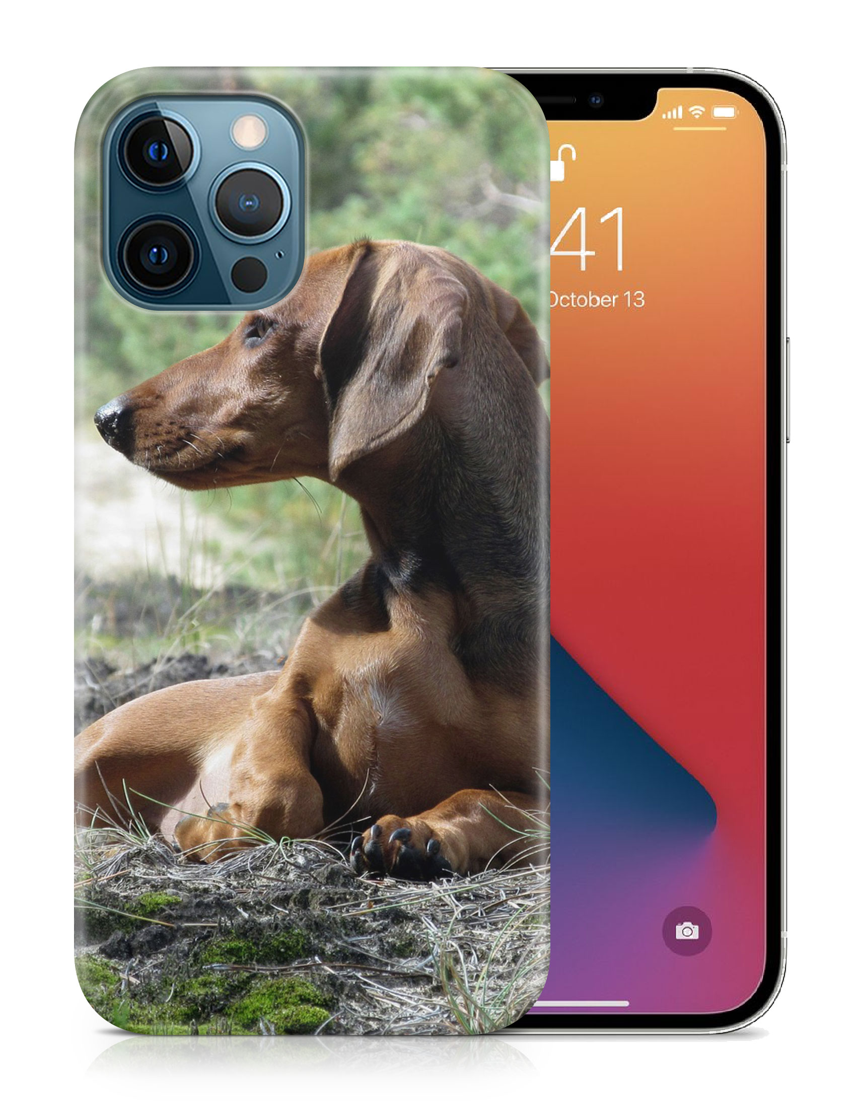 CASE COVER FOR APPLE IPHONE|DACHSHUND DOG 8 - Picture 19 of 44