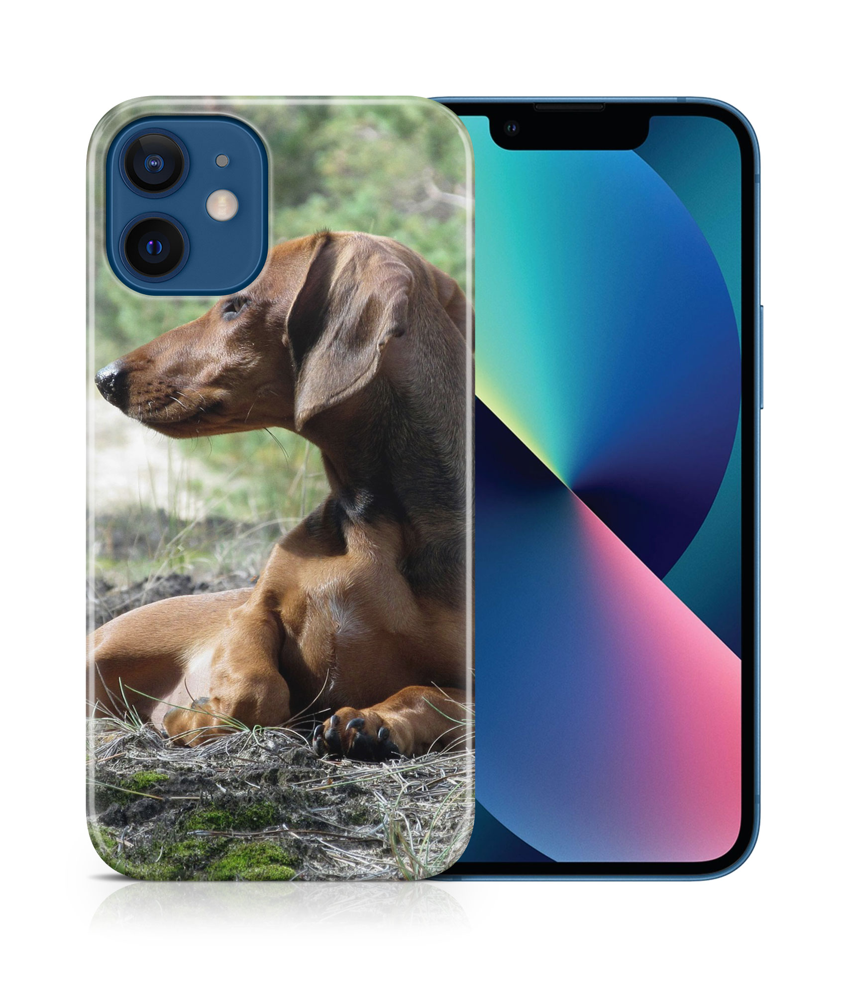 CASE COVER FOR APPLE IPHONE|DACHSHUND DOG 8 - Picture 17 of 44