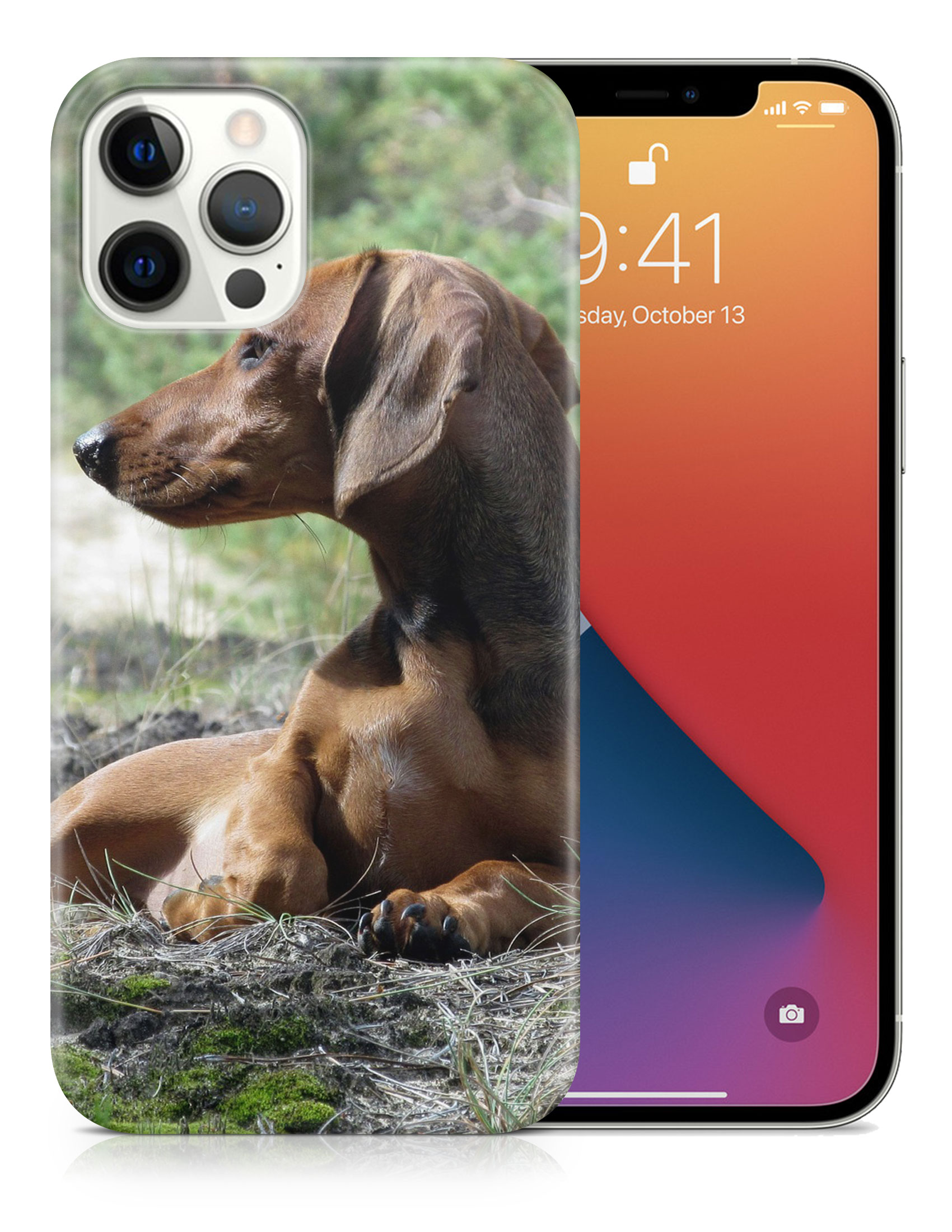 CASE COVER FOR APPLE IPHONE|DACHSHUND DOG 8 - Picture 18 of 44