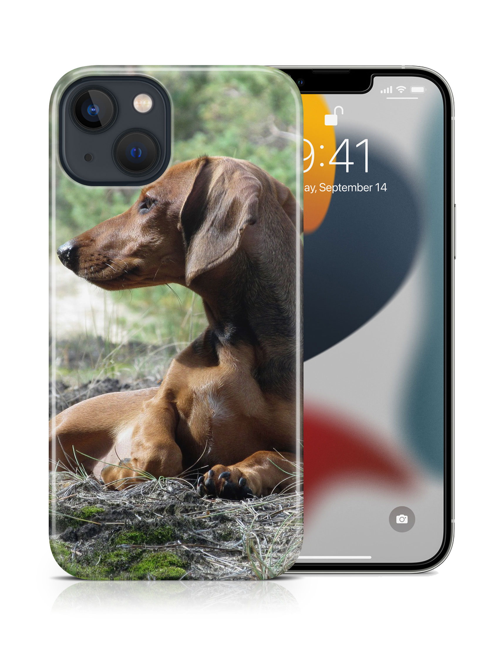 CASE COVER FOR APPLE IPHONE|DACHSHUND DOG 8 - Picture 16 of 44