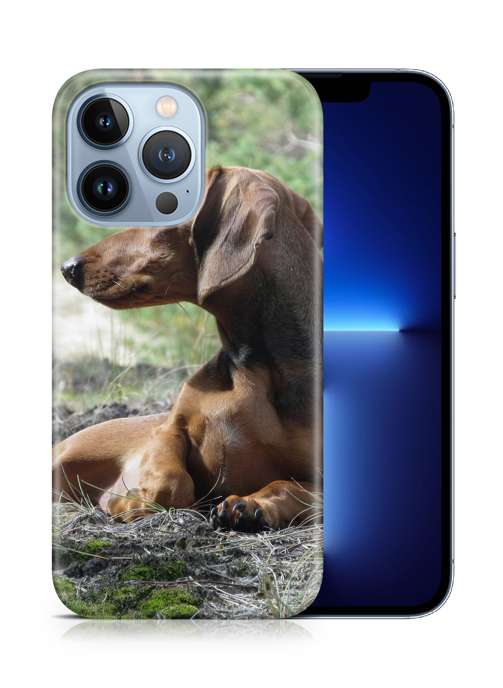 CASE COVER FOR APPLE IPHONE|DACHSHUND DOG 8 - Picture 15 of 44