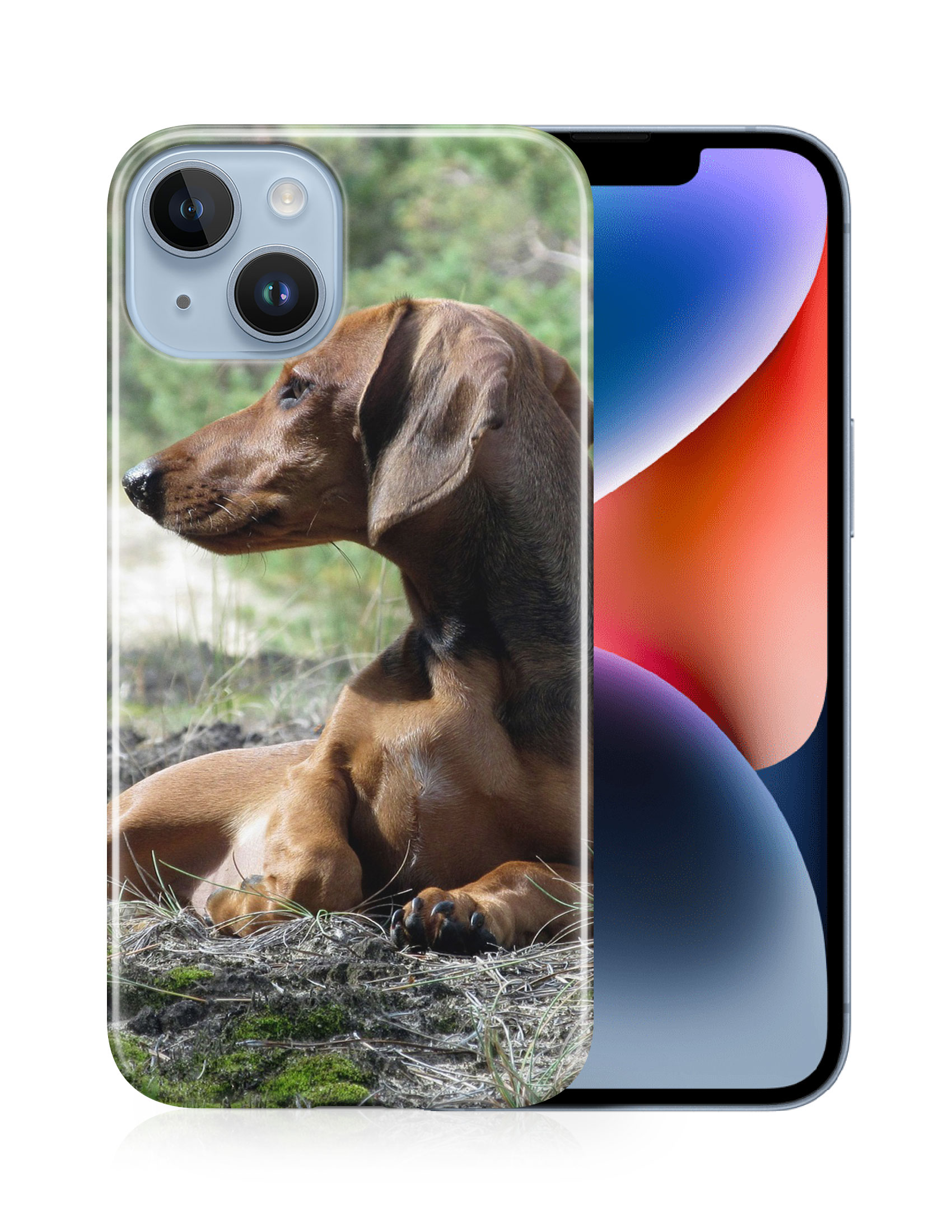 CASE COVER FOR APPLE IPHONE|DACHSHUND DOG 8 - Picture 13 of 44