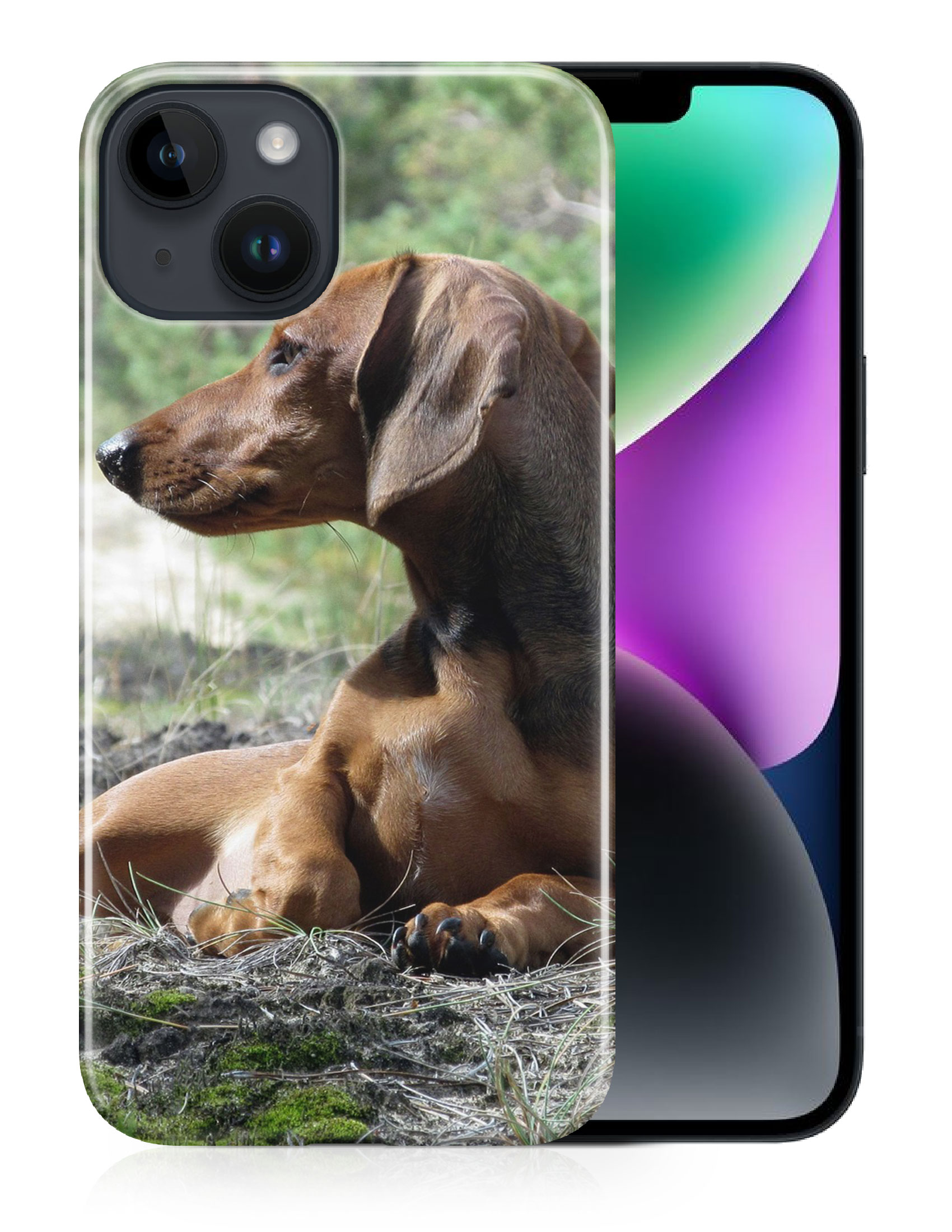 CASE COVER FOR APPLE IPHONE|DACHSHUND DOG 8 - Picture 12 of 44