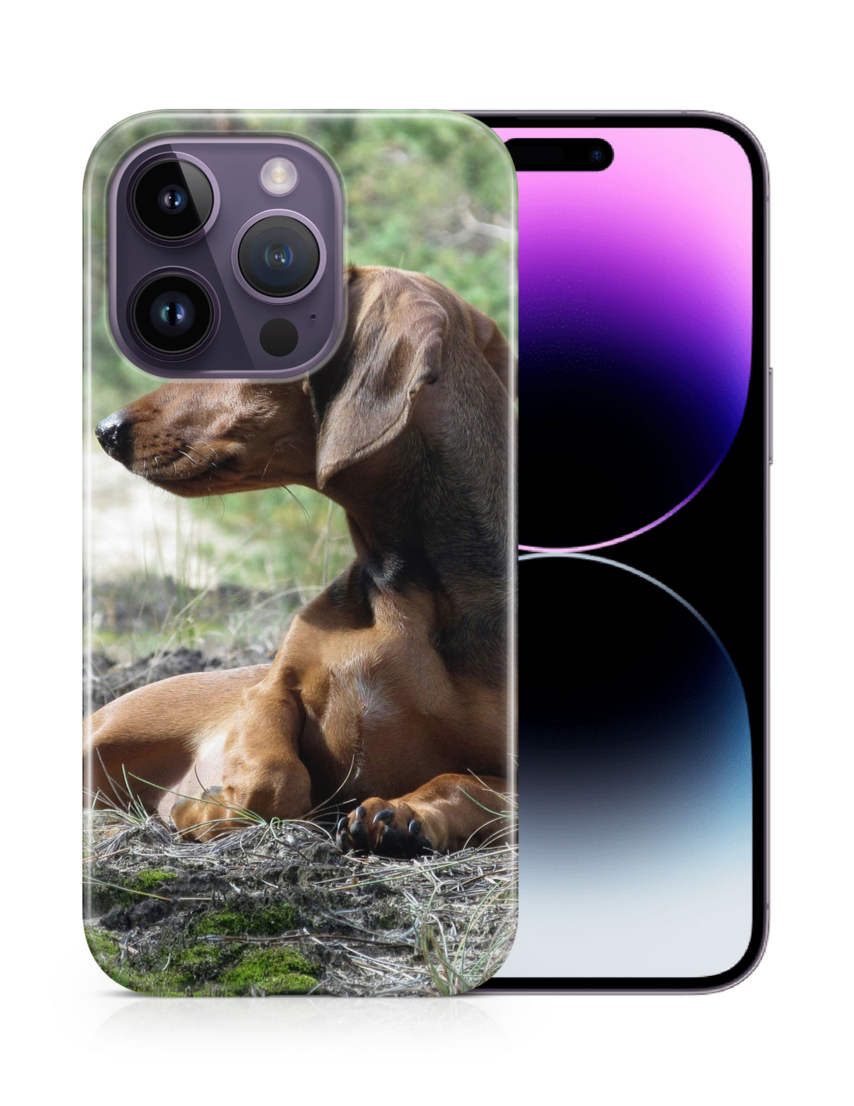 CASE COVER FOR APPLE IPHONE|DACHSHUND DOG 8 - Picture 11 of 44