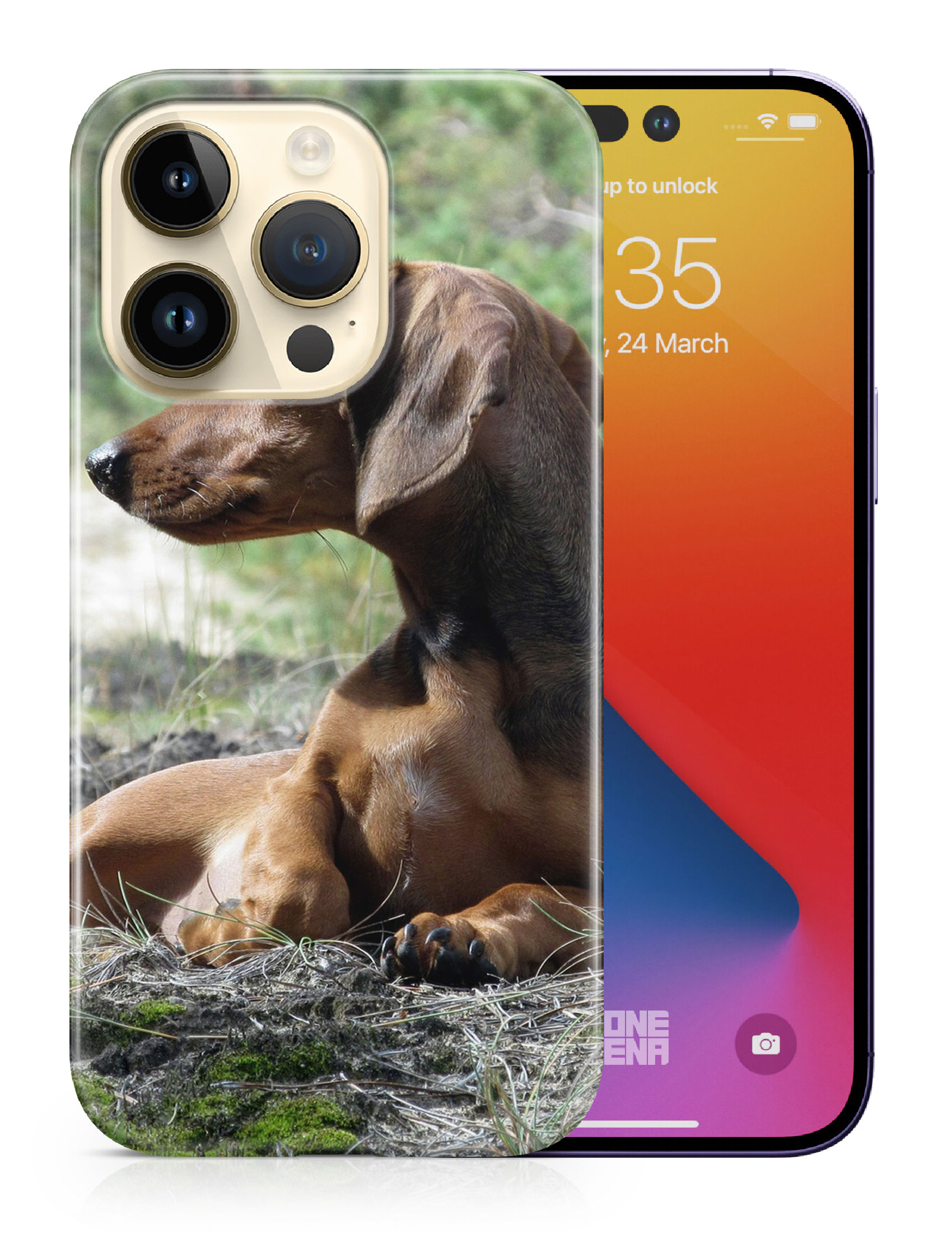 CASE COVER FOR APPLE IPHONE|DACHSHUND DOG 8 - Picture 10 of 44