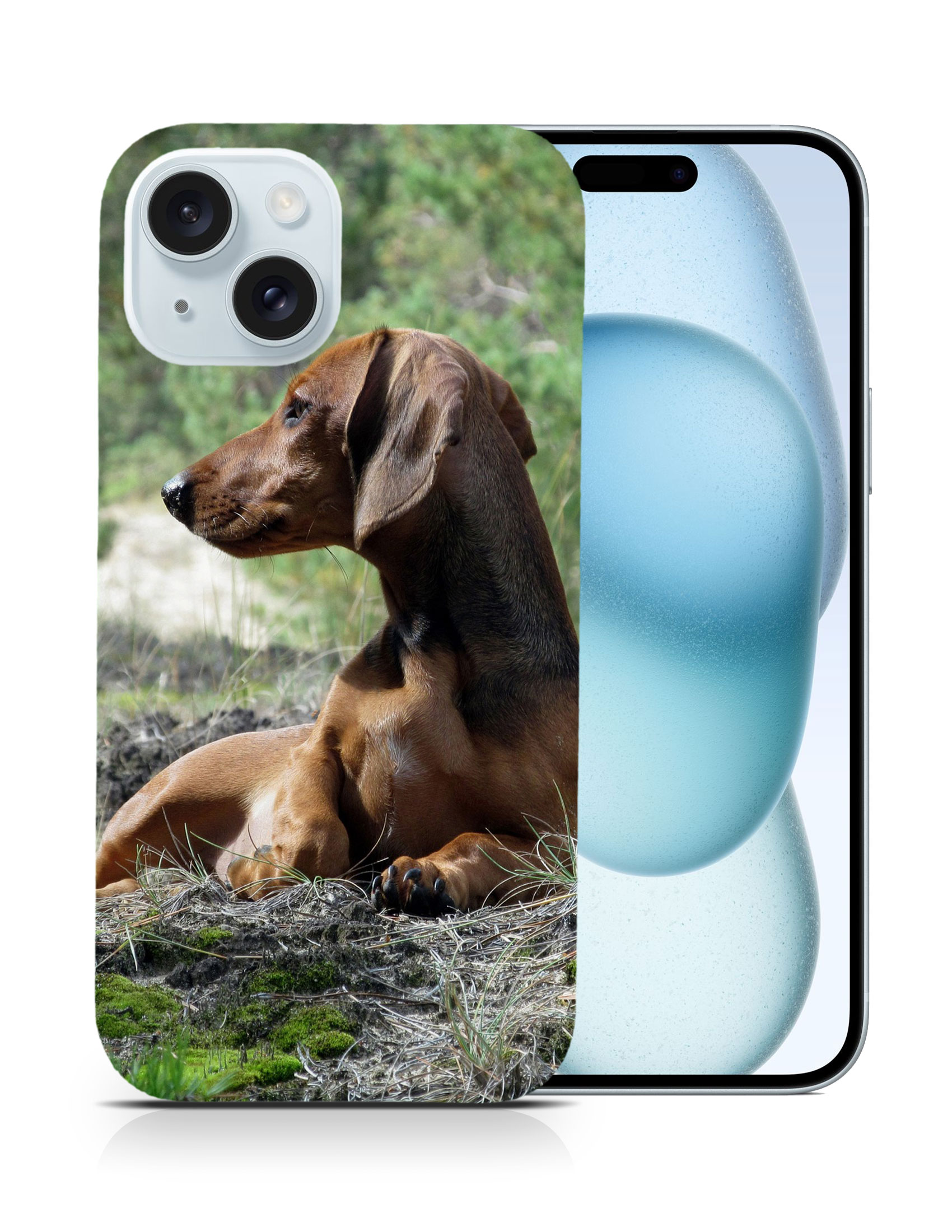 CASE COVER FOR APPLE IPHONE|DACHSHUND DOG 8 - Picture 9 of 44