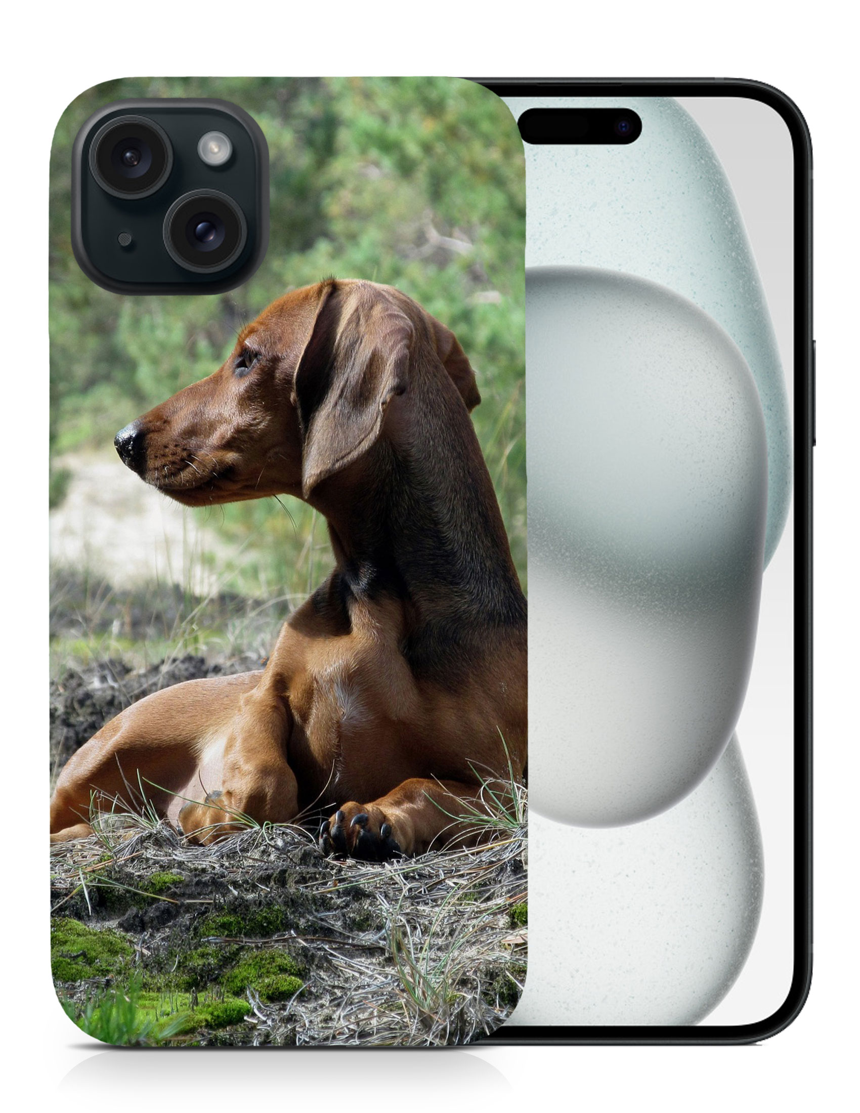 CASE COVER FOR APPLE IPHONE|DACHSHUND DOG 8 - Picture 8 of 44