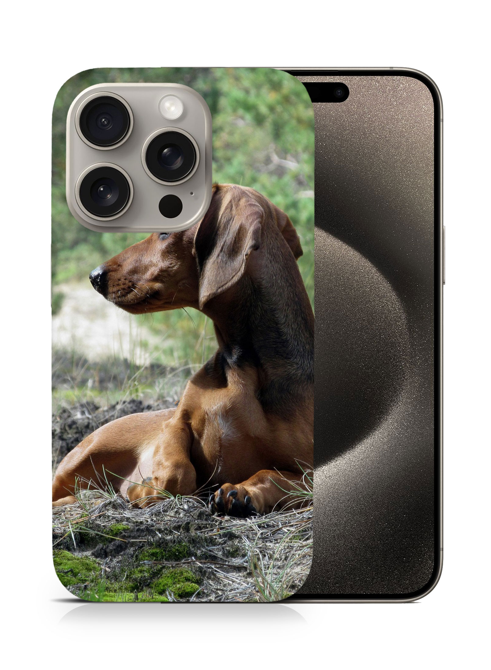 CASE COVER FOR APPLE IPHONE|DACHSHUND DOG 8 - Picture 7 of 44