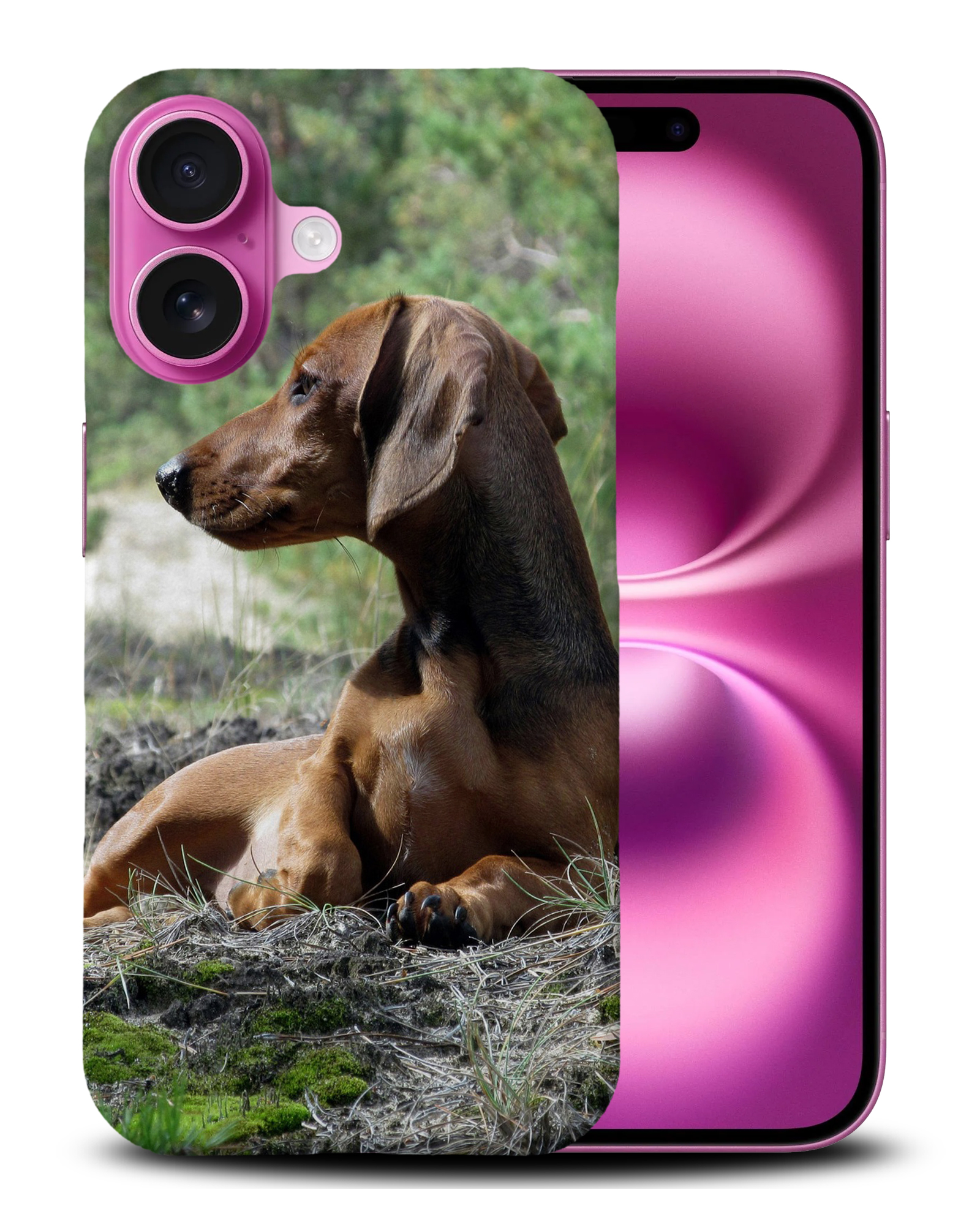 CASE COVER FOR APPLE IPHONE|DACHSHUND DOG 8 - Picture 5 of 44