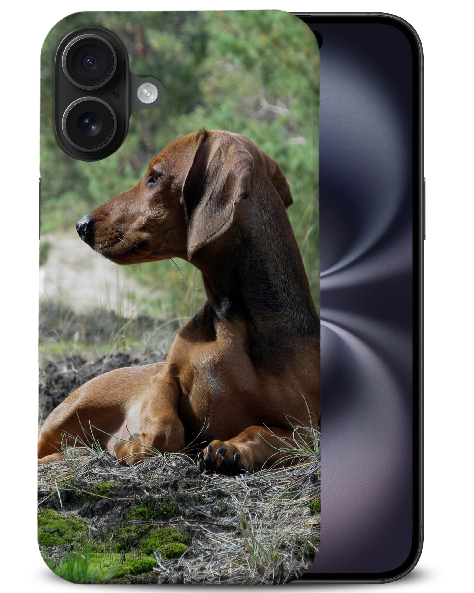 CASE COVER FOR APPLE IPHONE|DACHSHUND DOG 8 - Picture 4 of 44
