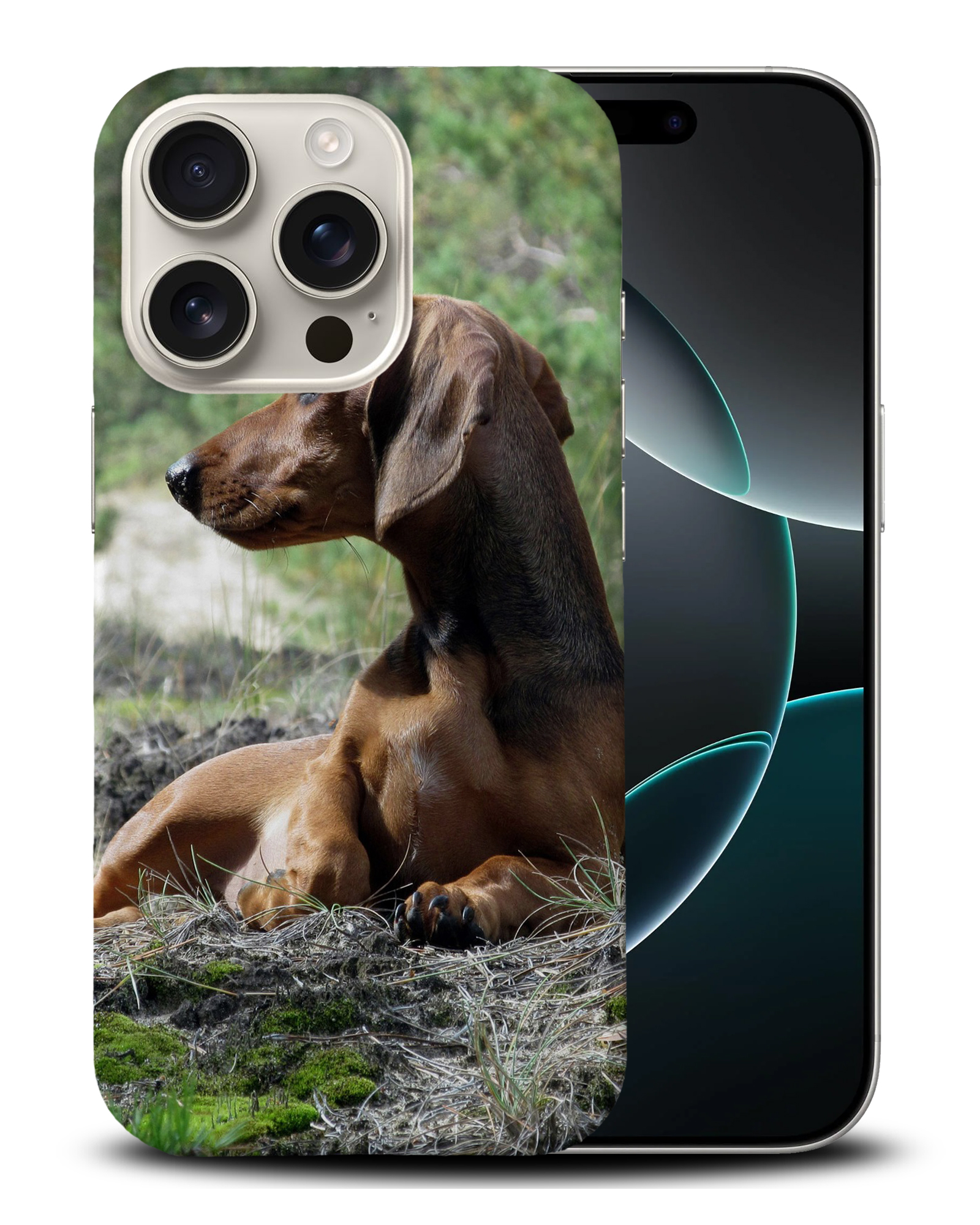 CASE COVER FOR APPLE IPHONE|DACHSHUND DOG 8 - Picture 3 of 44