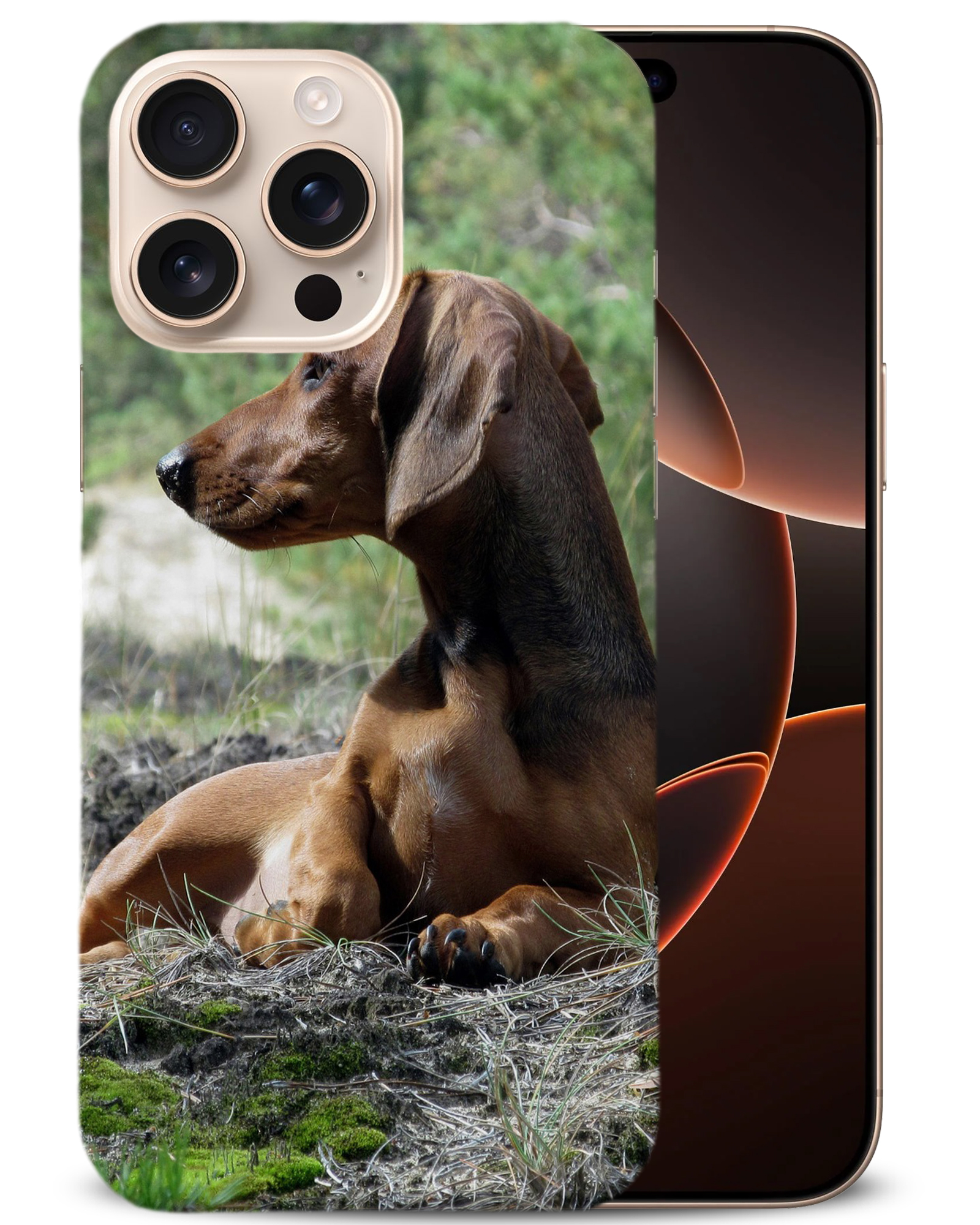 CASE COVER FOR APPLE IPHONE|DACHSHUND DOG 8 - Picture 2 of 44