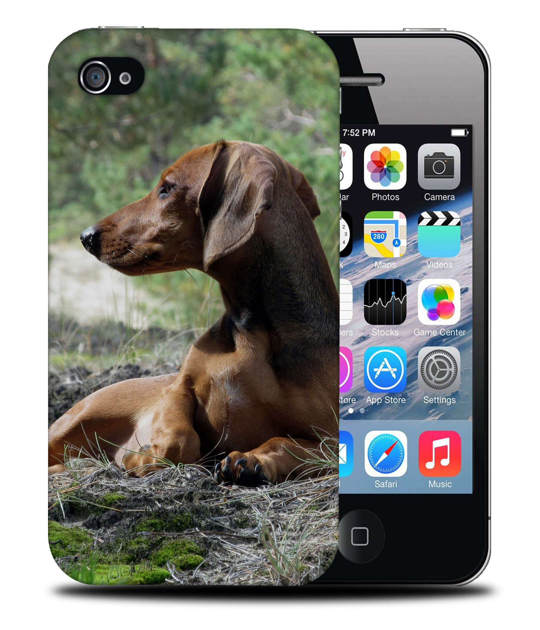 CASE COVER FOR APPLE IPHONE|DACHSHUND DOG 8 - Picture 40 of 44
