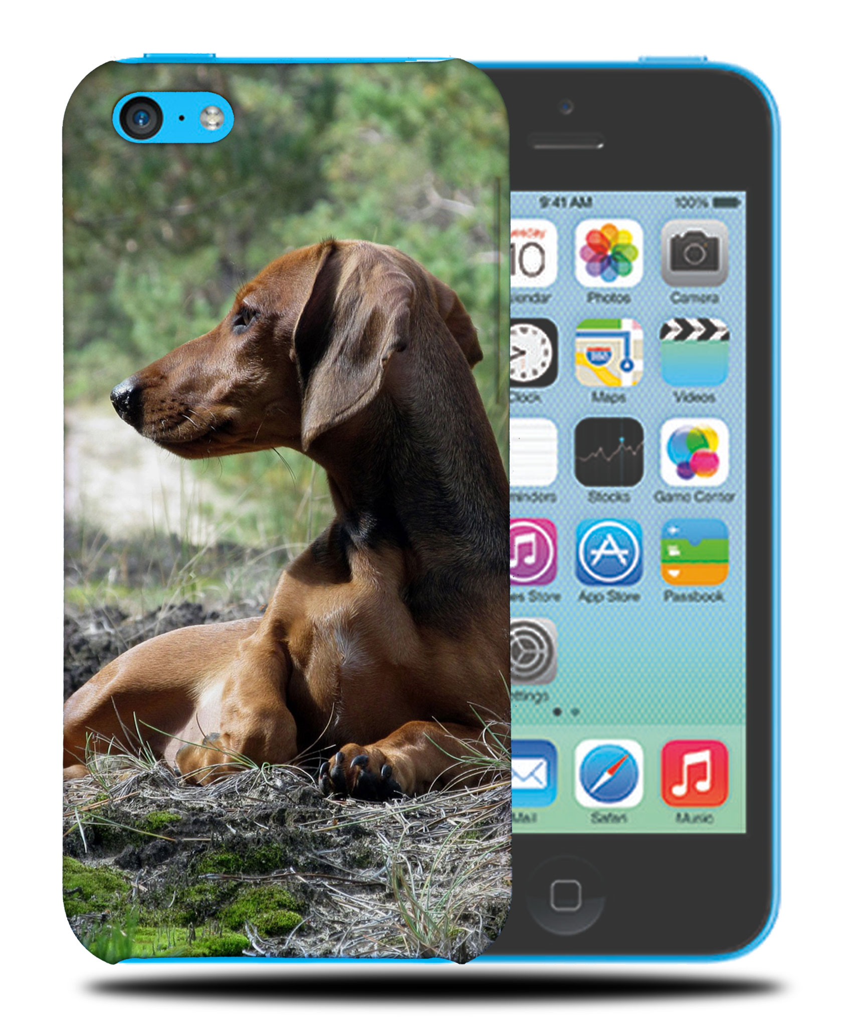 CASE COVER FOR APPLE IPHONE|DACHSHUND DOG 8 - Picture 37 of 44