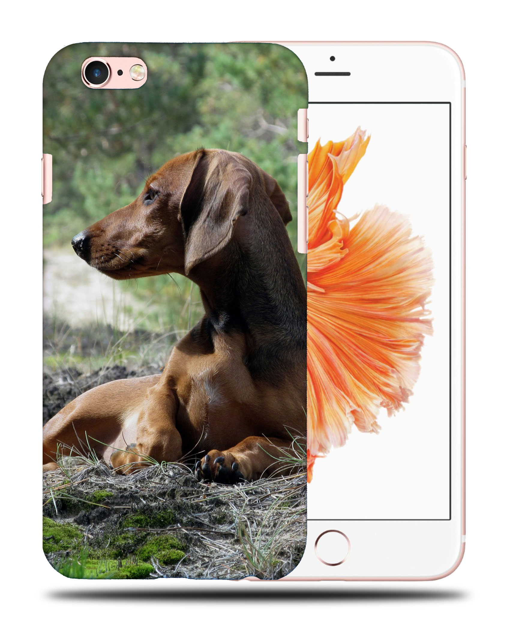 CASE COVER FOR APPLE IPHONE|DACHSHUND DOG 8 - Picture 35 of 44