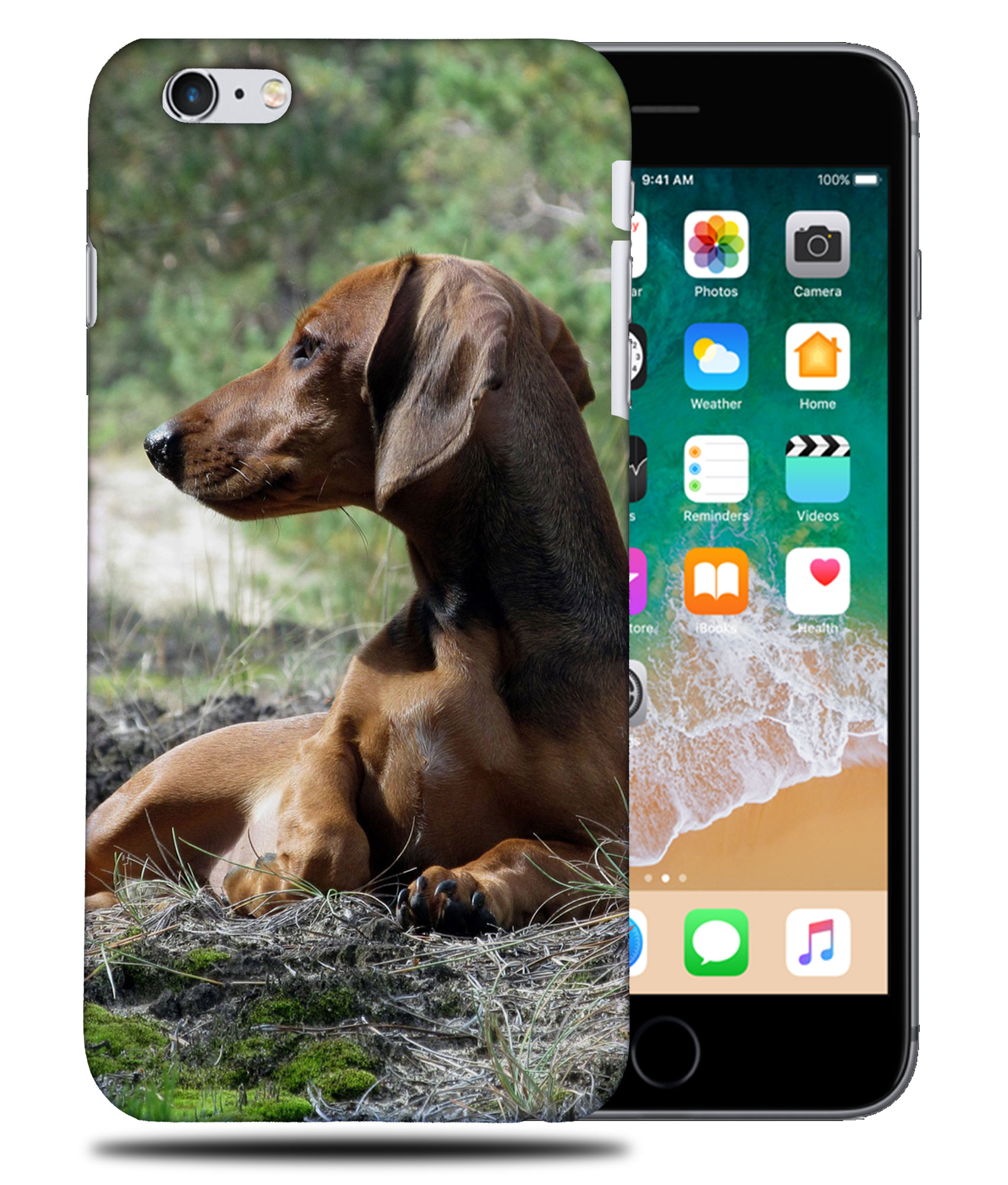 CASE COVER FOR APPLE IPHONE|DACHSHUND DOG 8 - Picture 33 of 44