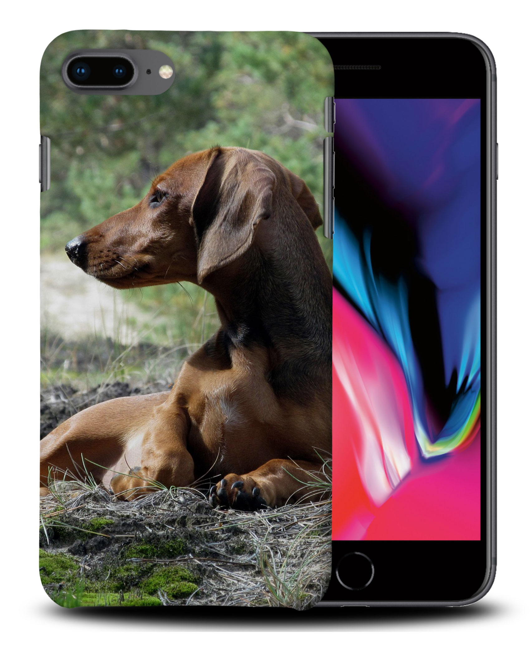 CASE COVER FOR APPLE IPHONE|DACHSHUND DOG 8 - Picture 29 of 44