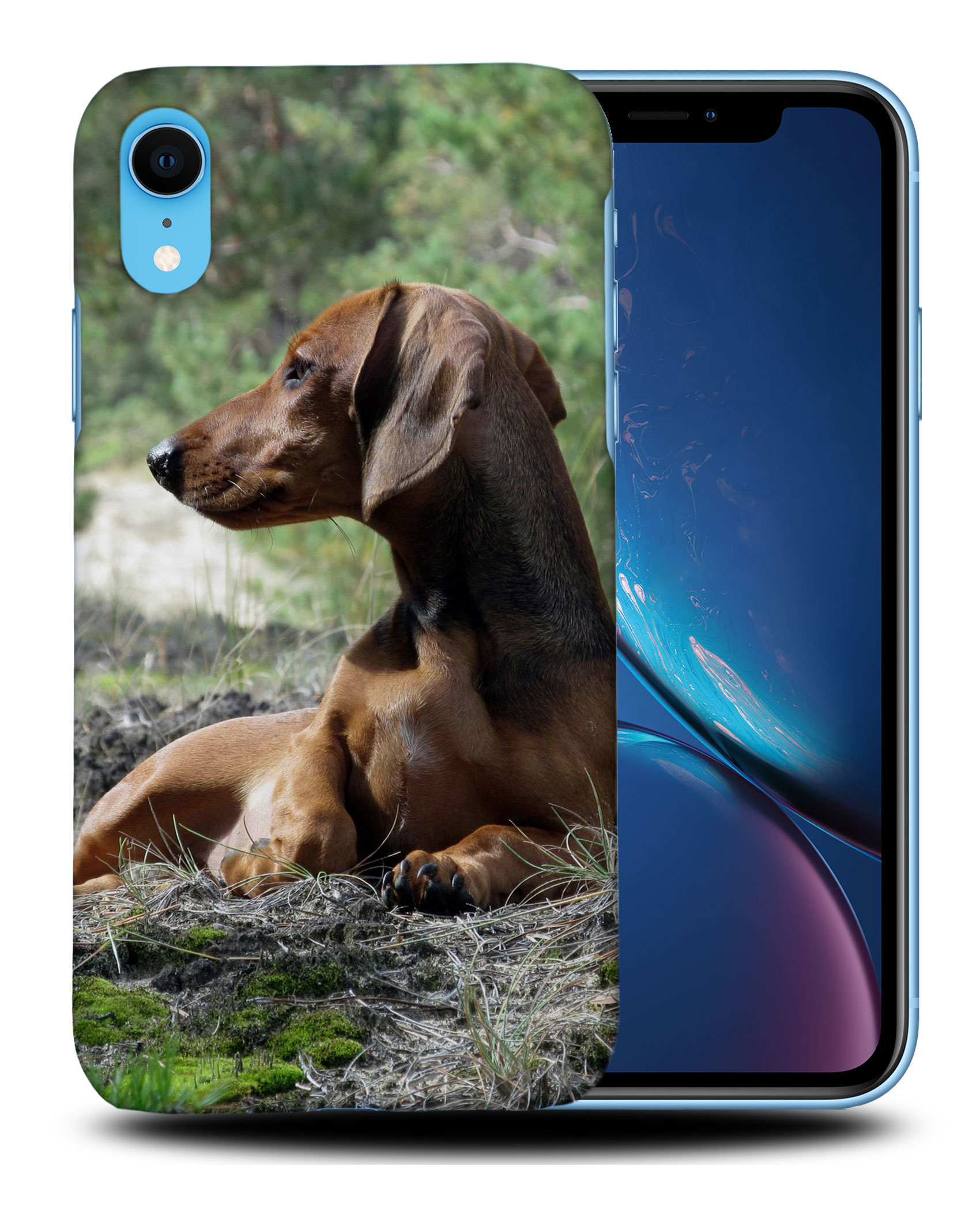 CASE COVER FOR APPLE IPHONE|DACHSHUND DOG 8 - Picture 27 of 44